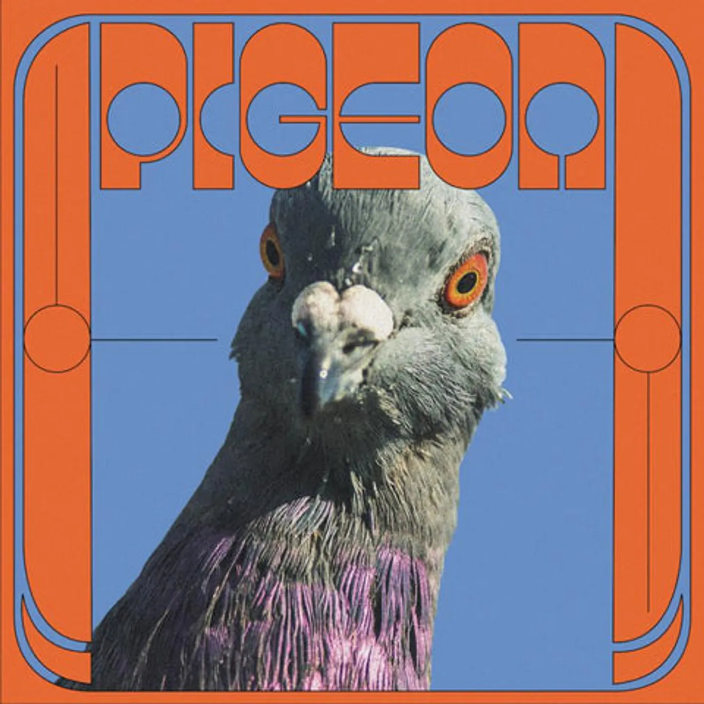 Pigeon Yagana Vinyl Record