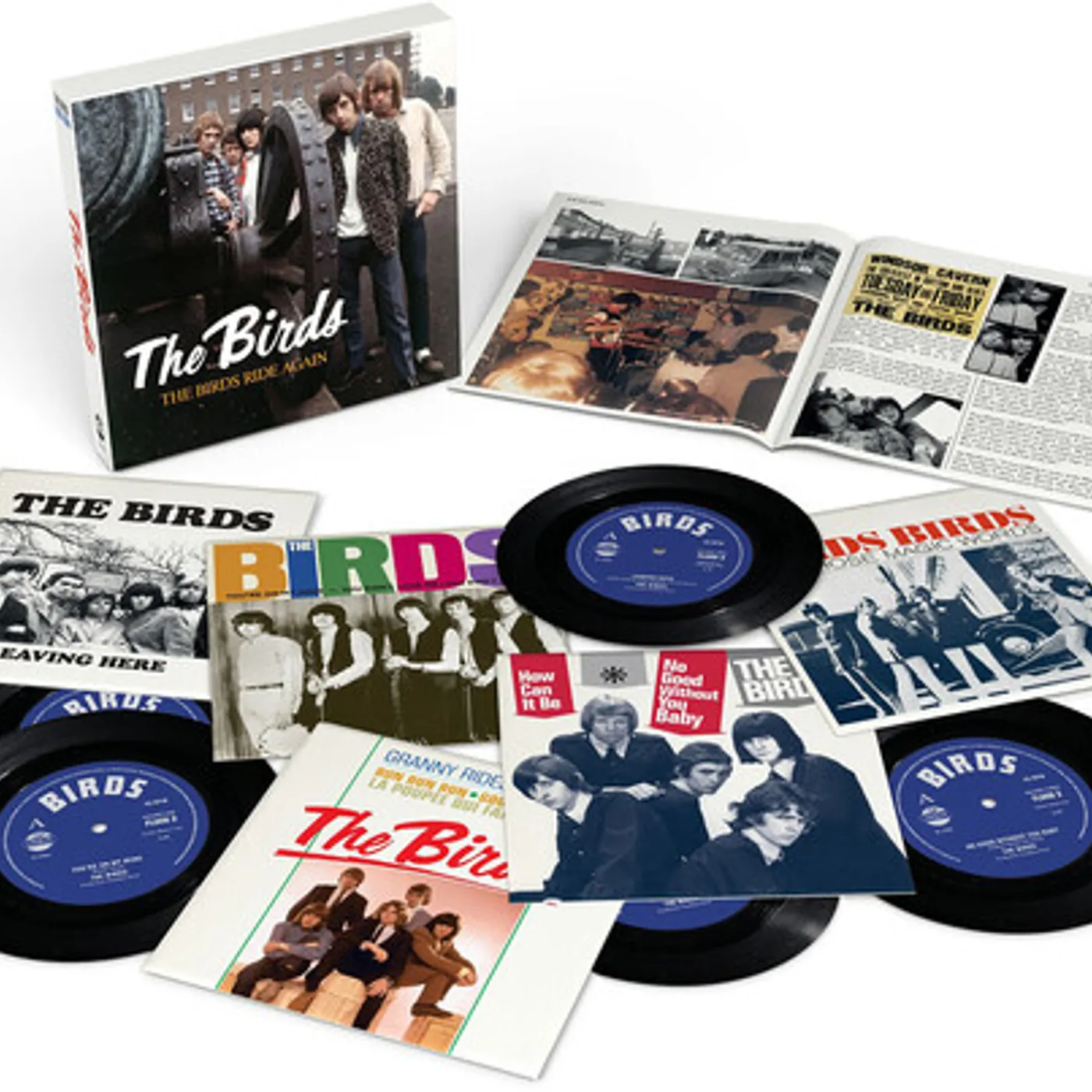 The Birds Ride Again Vinyl Record