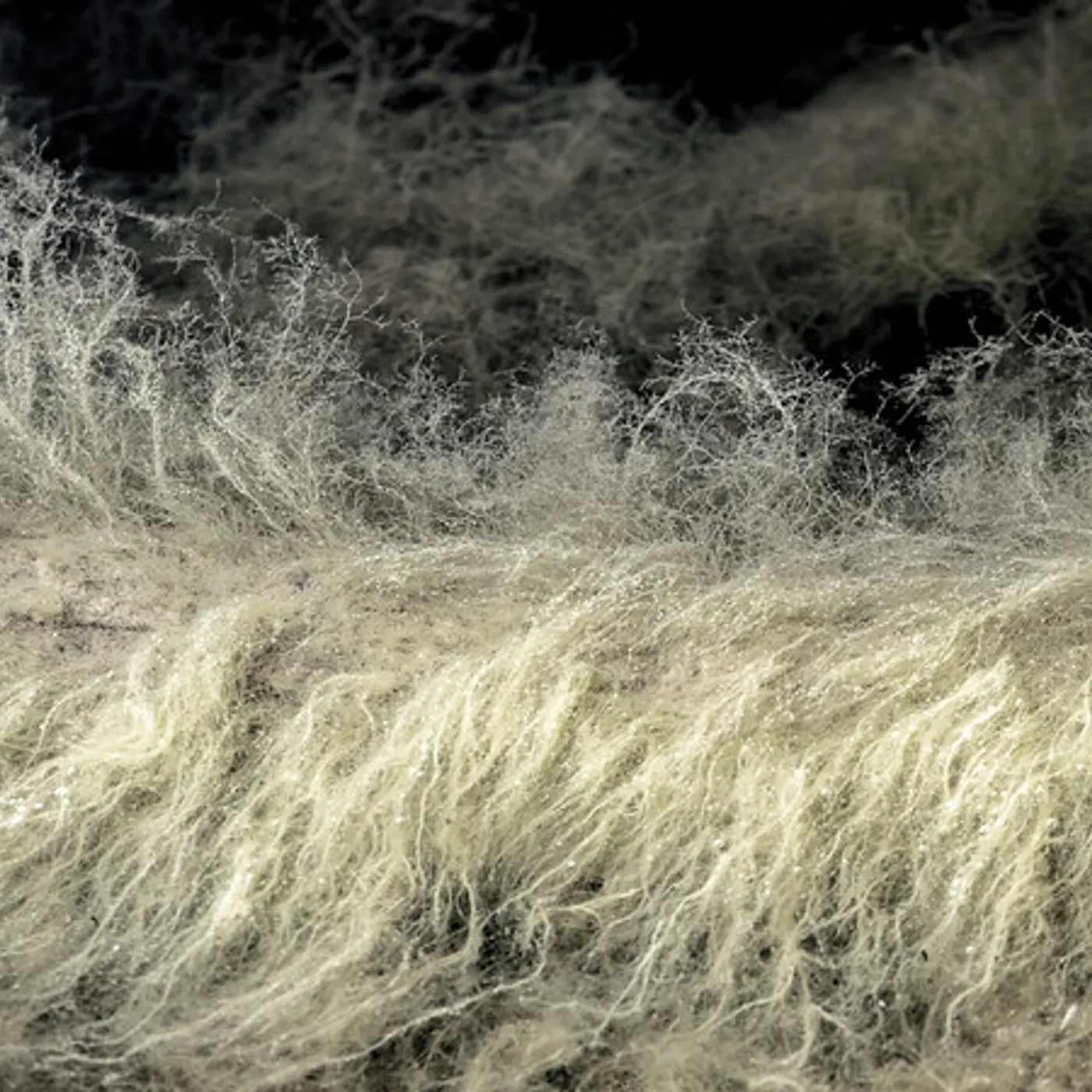 Lyonel Bauchet DIVER CD