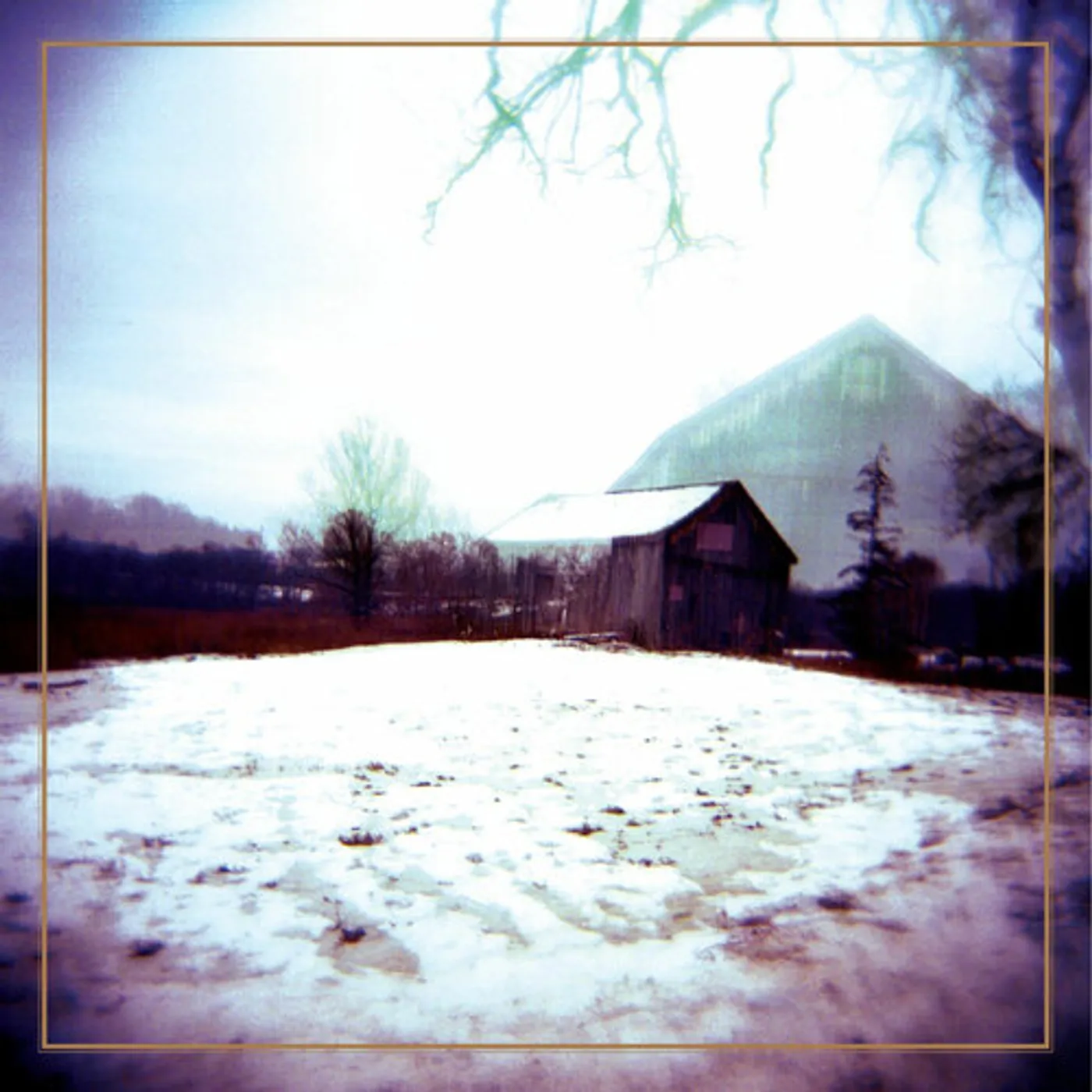 Horse Feathers House With No Home Vinyl Record
