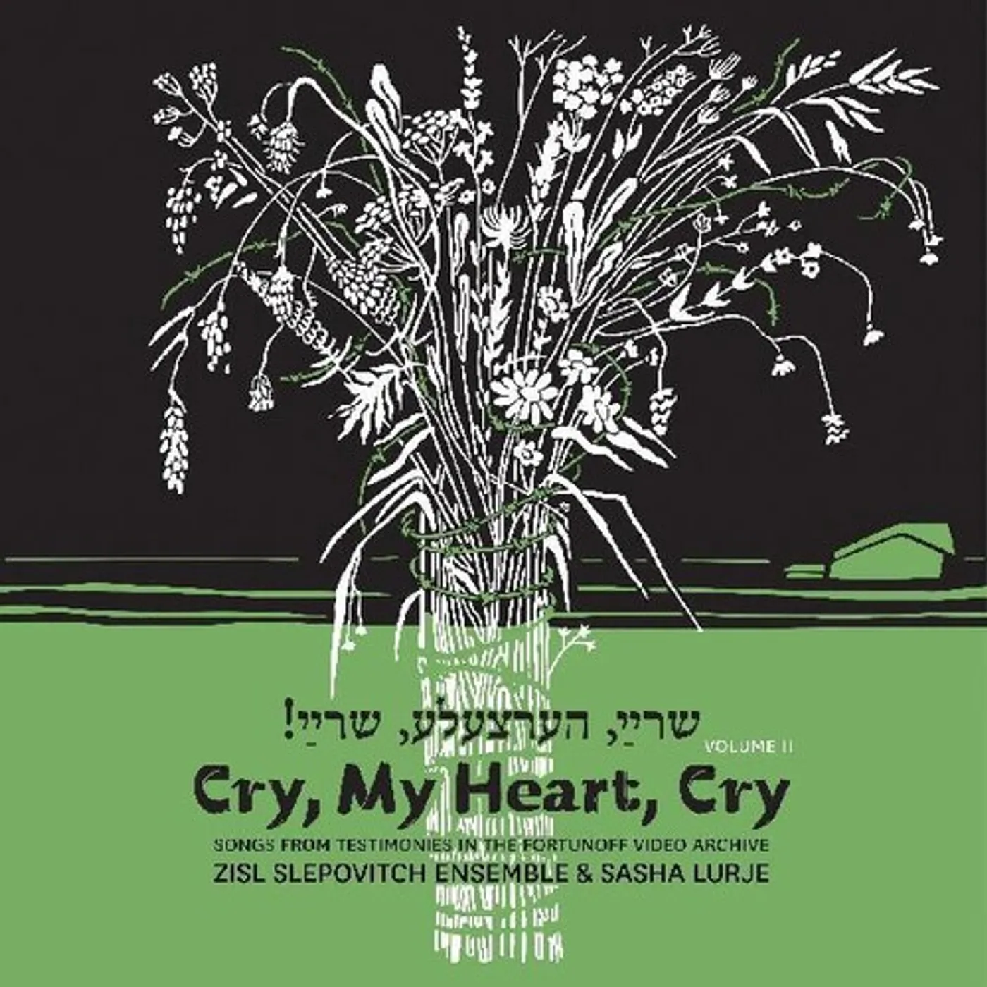Zisl Slepovitch / Sasha Lurje CRY MY HEART CRY - SONGS FROM TESTIMONIES IN THE CD