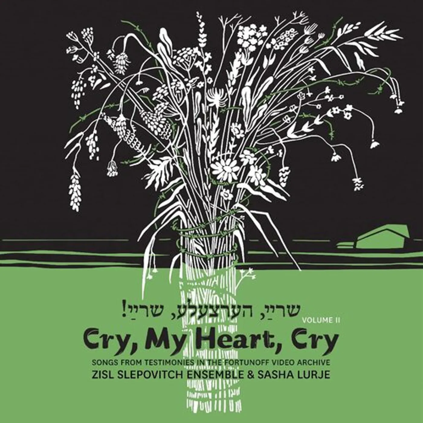 Zisl Slepovitch / Sasha Lurje Cry, My Heart, Cry - Songs From Testimonies in the Fortunoff Video Archive, Vol. 2 Vinyl Record
