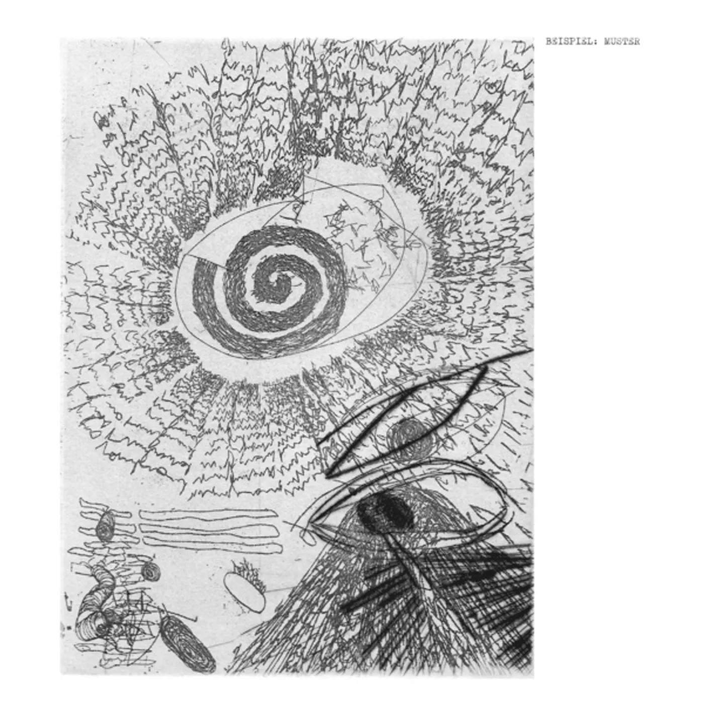 Beispiel Muster Vinyl Record