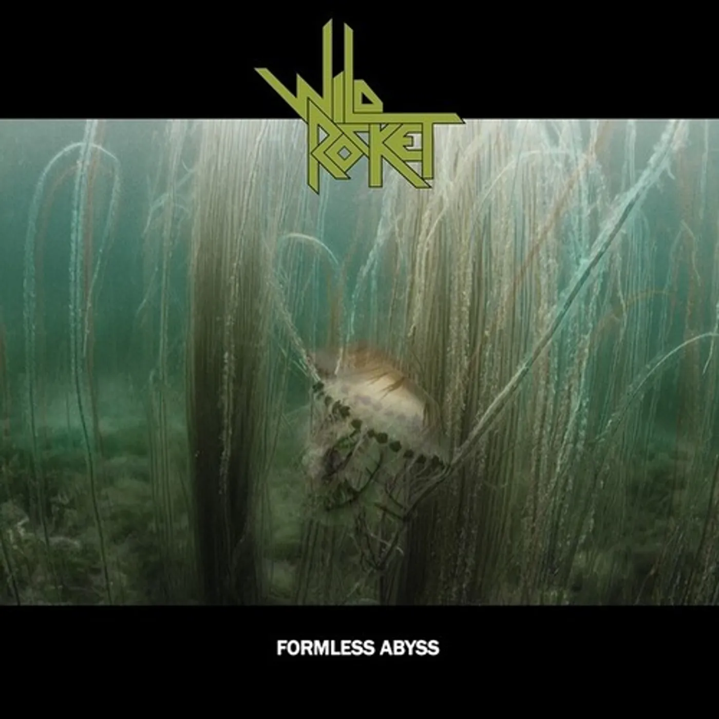 Wild Rocket Formless Abyss Vinyl Record