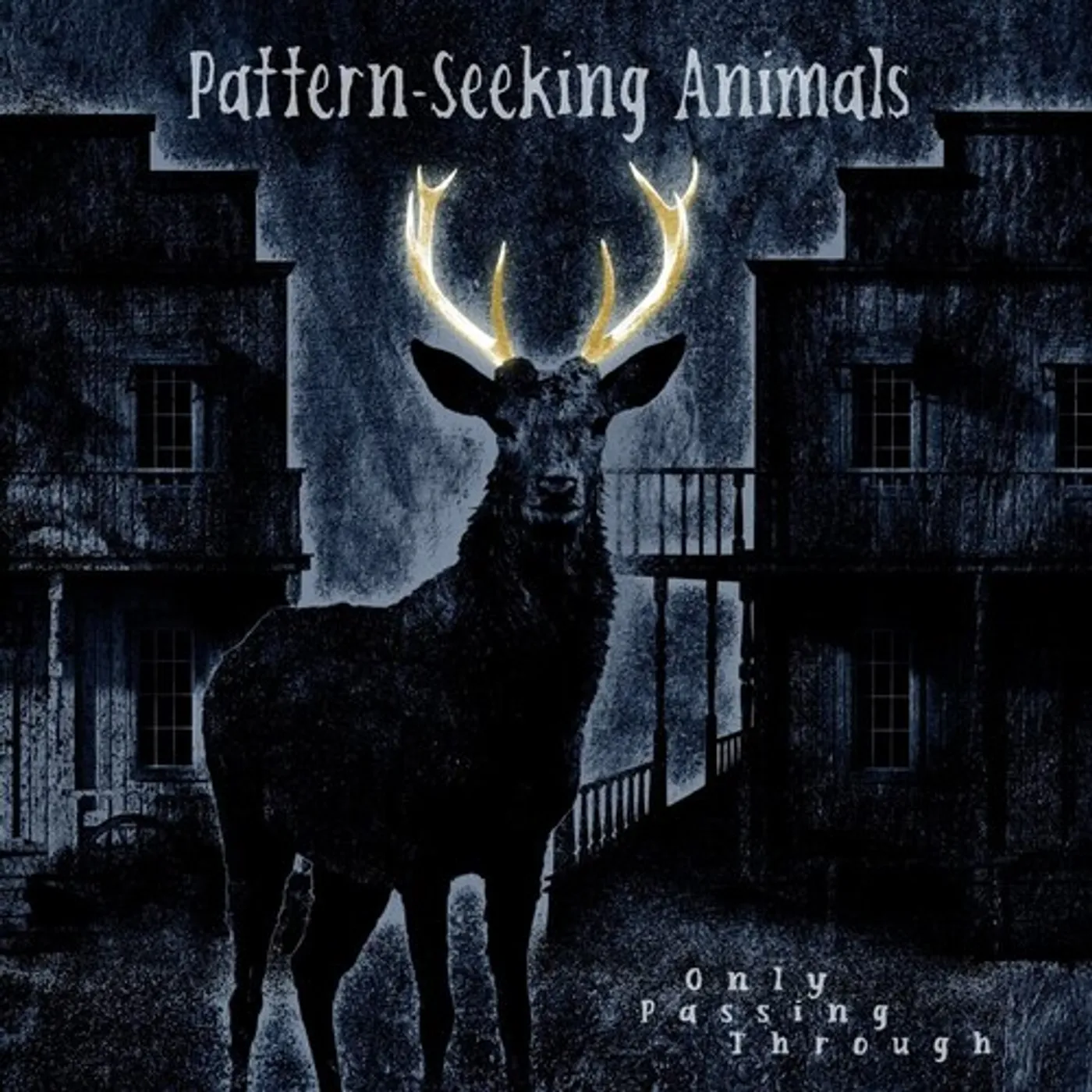 Pattern-Seeking Animals ONLY PASSING THROUGH Vinyl Record