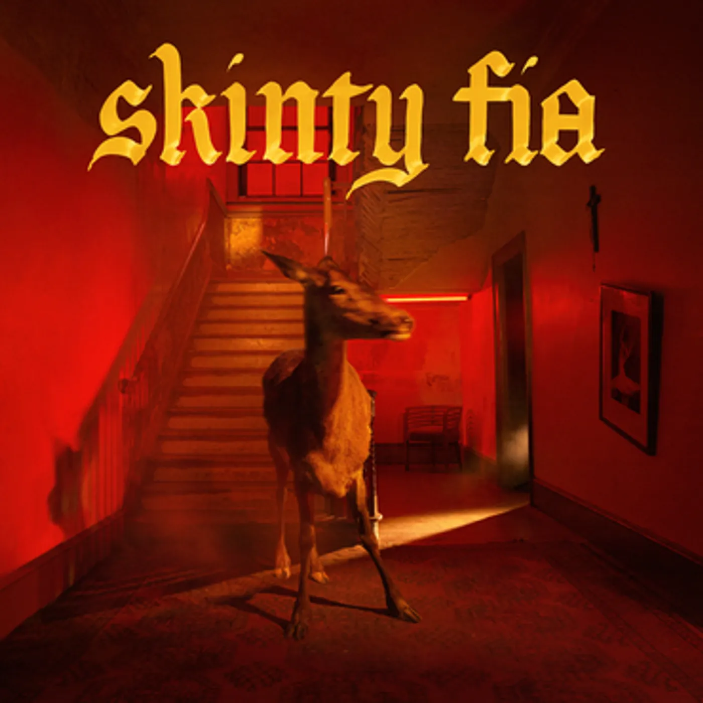 Fontaines D.C. Skinty Fia Vinyl Record
