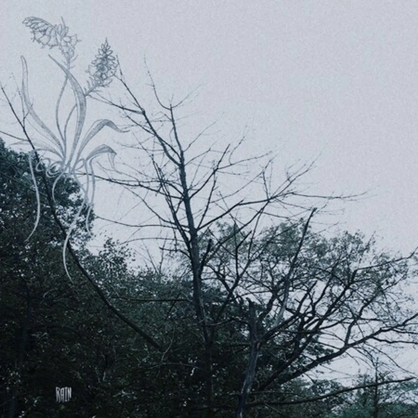 Sadness Rain Vinyl Record