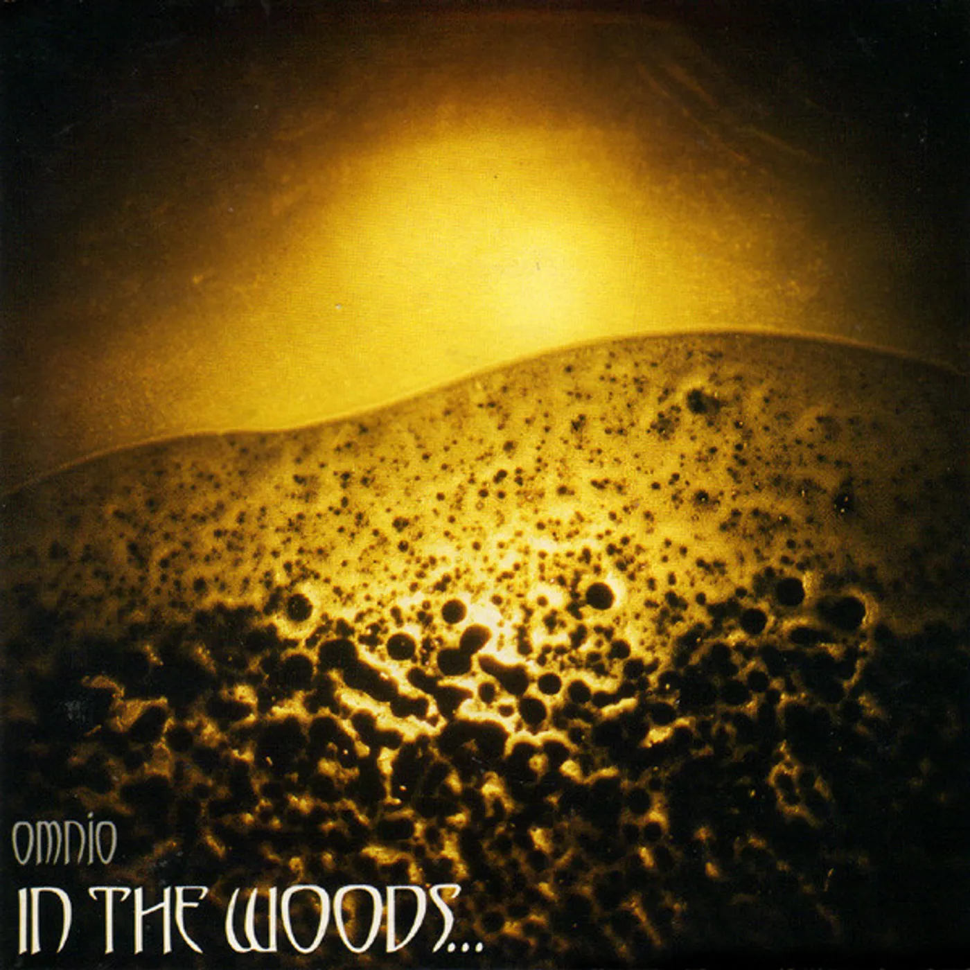 In The Woods... Omnio Vinyl Record