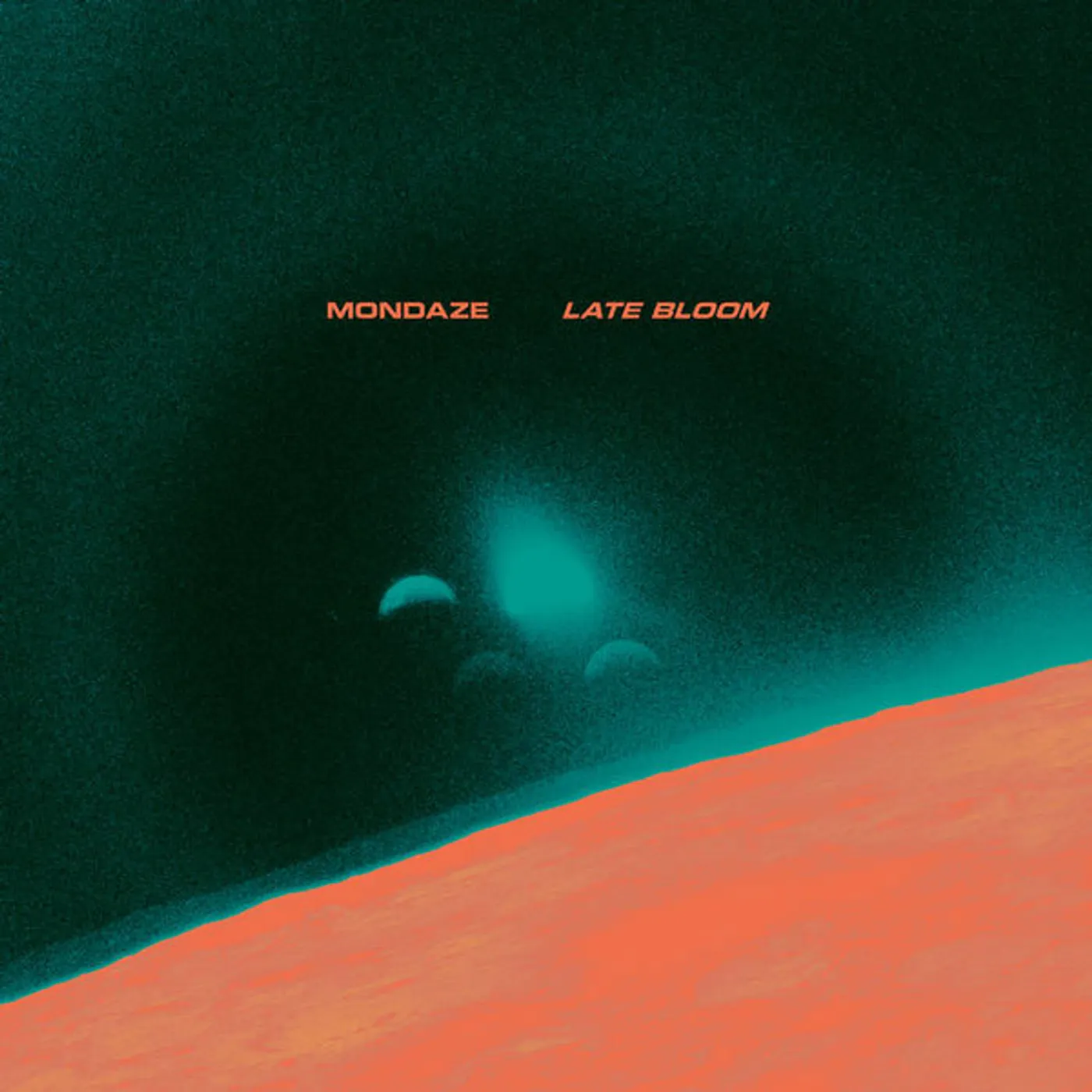 Mondaze Late Bloom Vinyl Record
