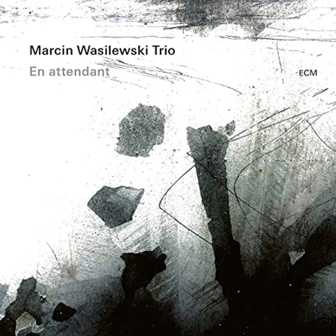 Marcin Wasilewski En attendant Vinyl Record