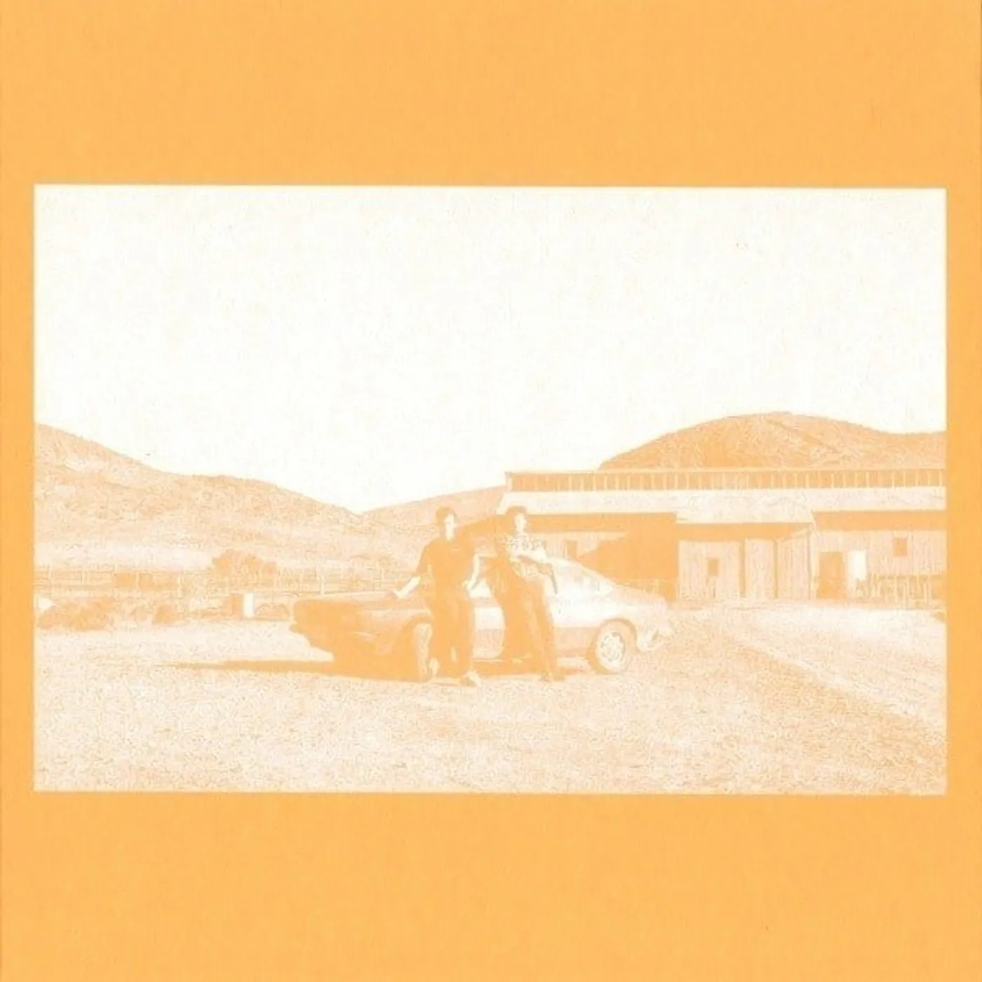 The Frenzied Bricks Vinyl Record