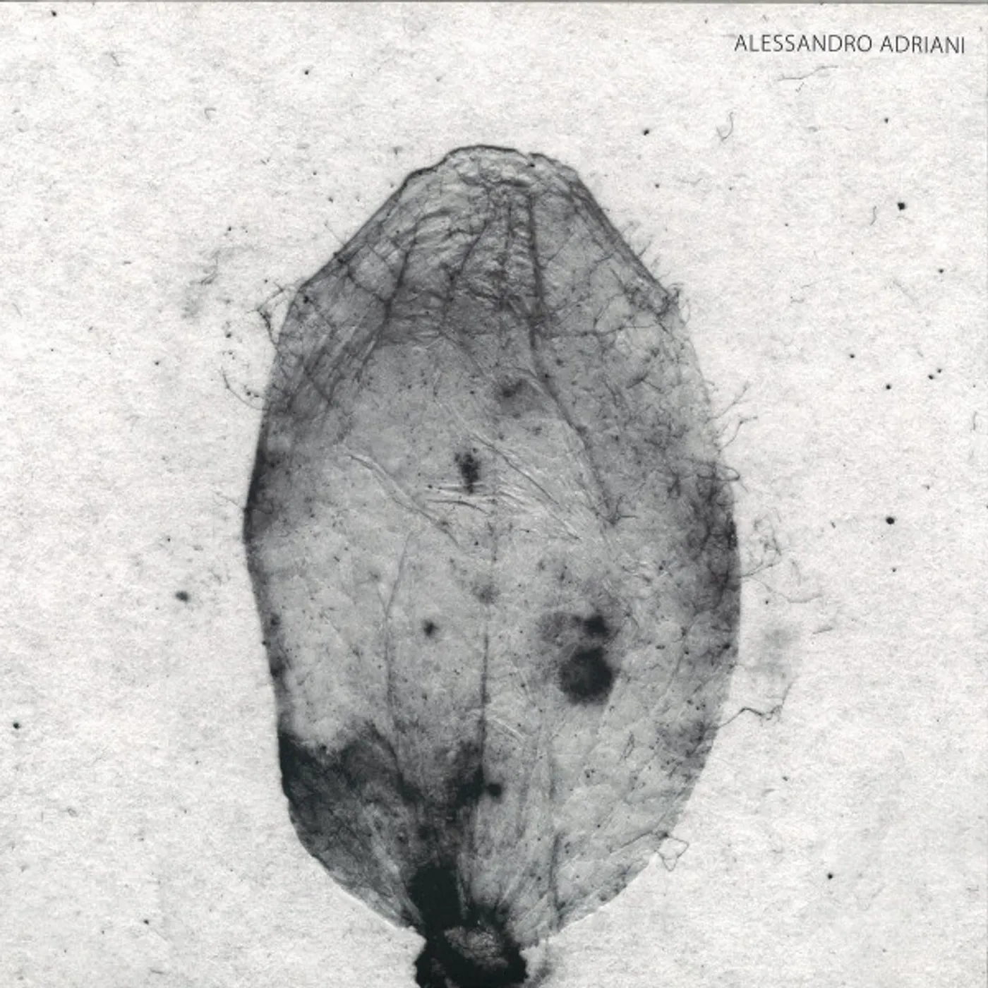 Alessandro Adriani Enter The Fire Vinyl Record