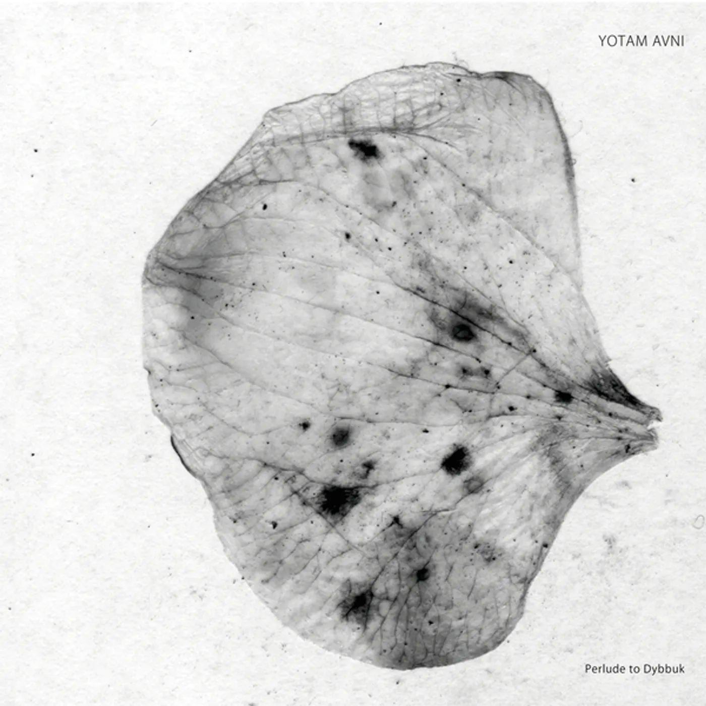 Yotam Avni Perlude To Dybbuk Vinyl Record