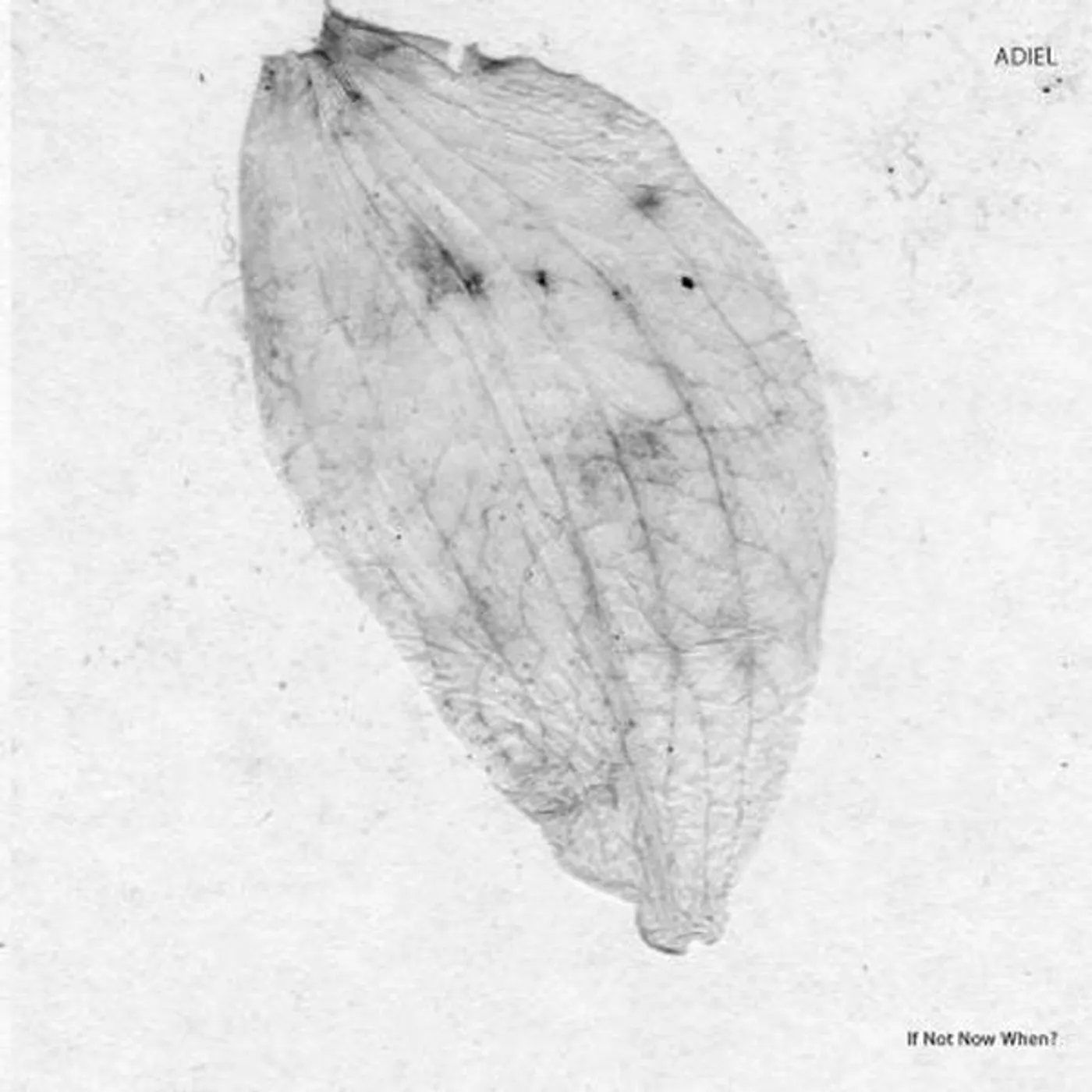 Adiel If Not Now When? Vinyl Record
