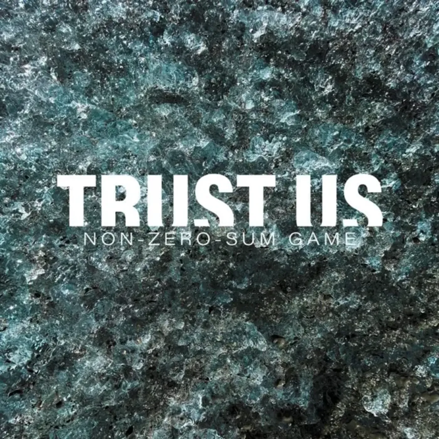 Trust Us NON-ZERO-SUM-GAME Vinyl Record