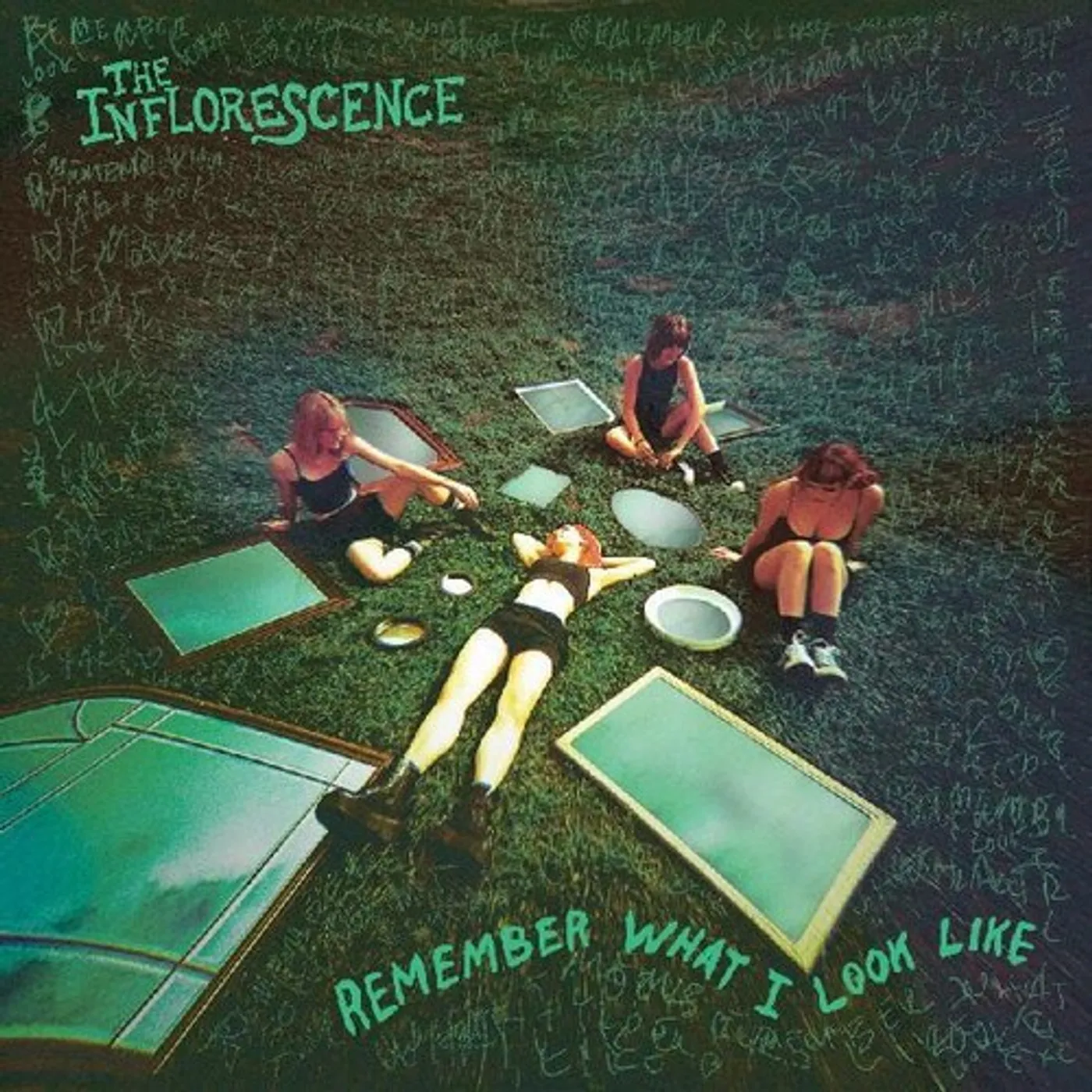 The Inflorescence Remember What I Look Like Vinyl Record