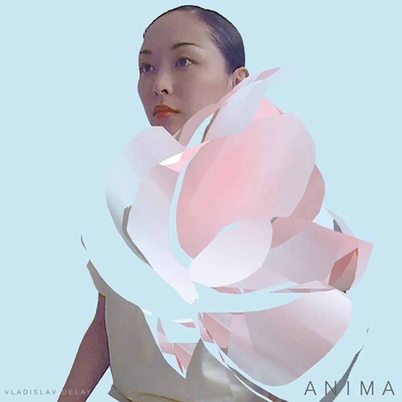 Vladislav Delay Anima Vinyl Record