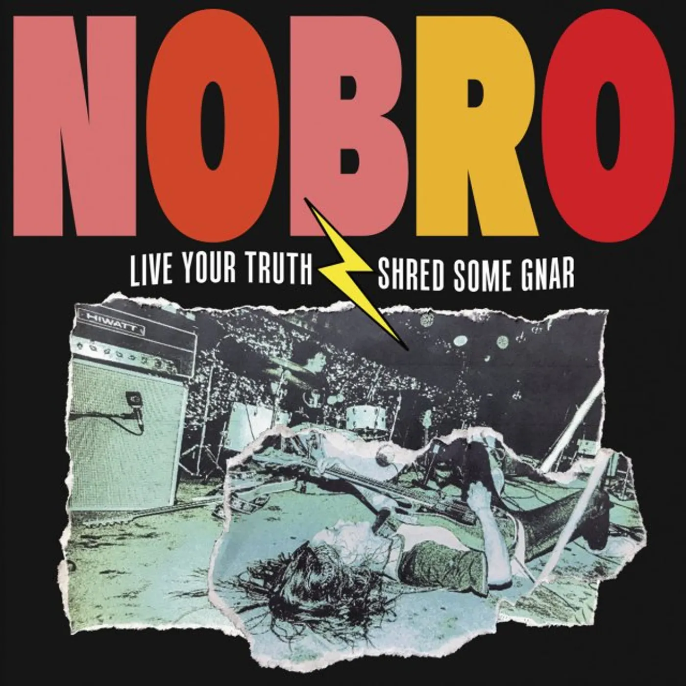NOBRO Live Your Truth Shred Some Gnar Vinyl Record