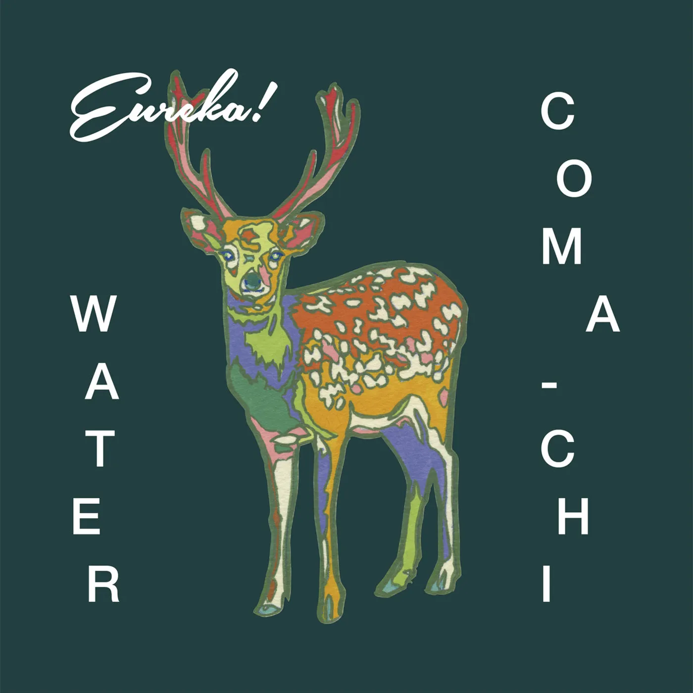 COMA-CHI WATER (KAIDI TATHAM RMX) Vinyl Record