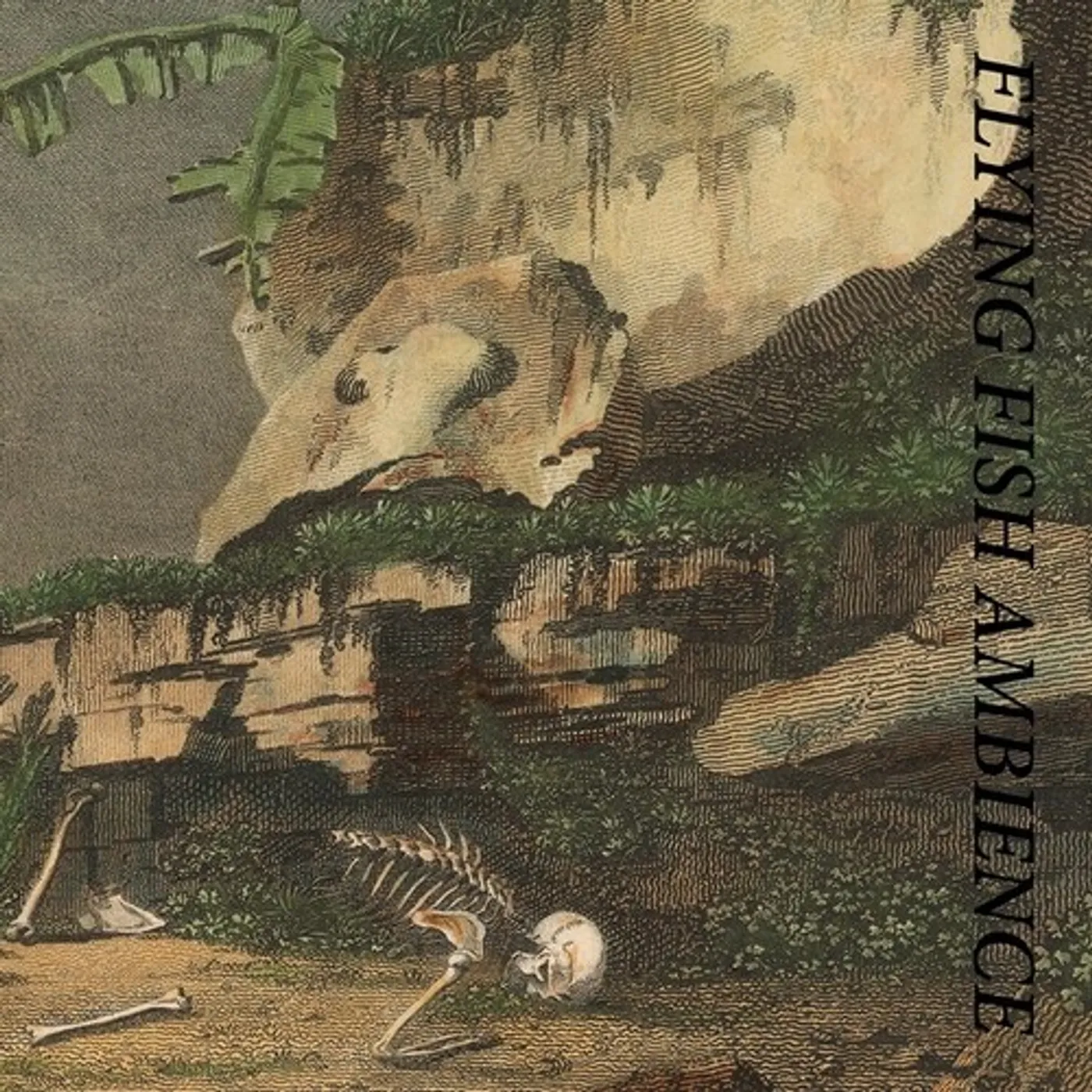 Rainforest Spiritual Enslavement FLYING FISH AMBIENCE CD