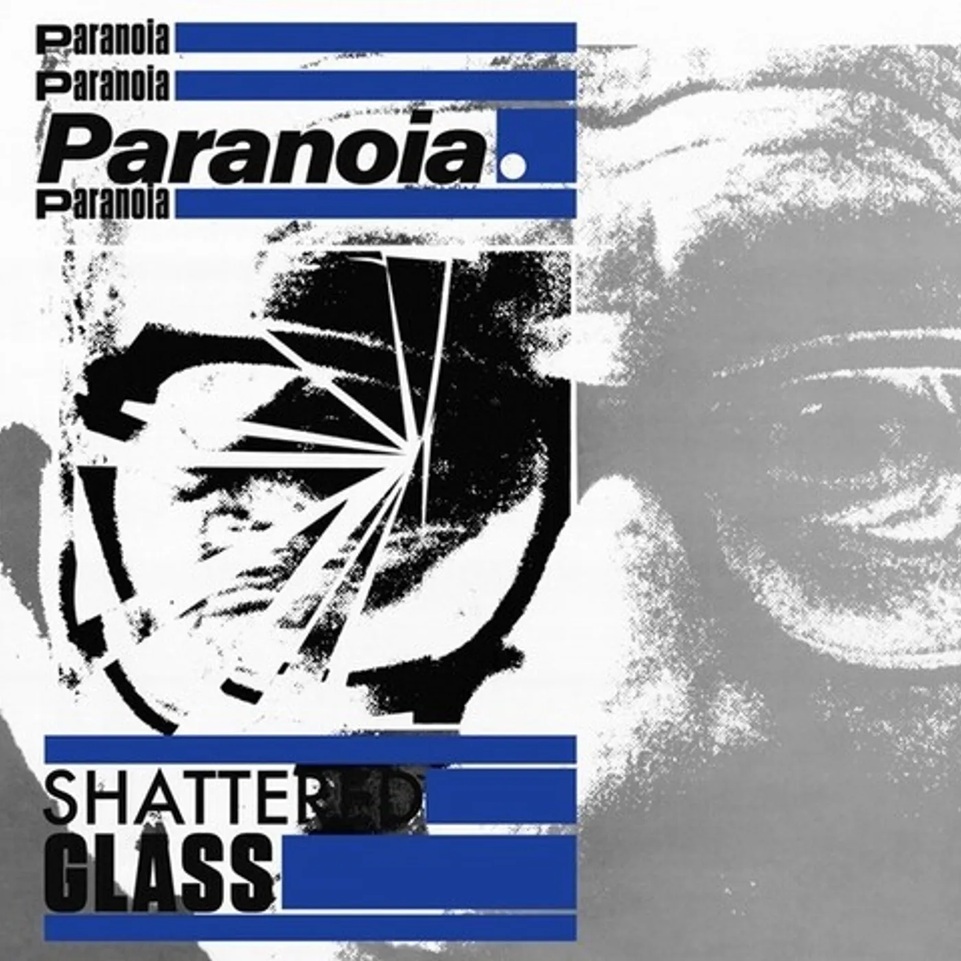 Paranoia Shattered Glass Vinyl Record