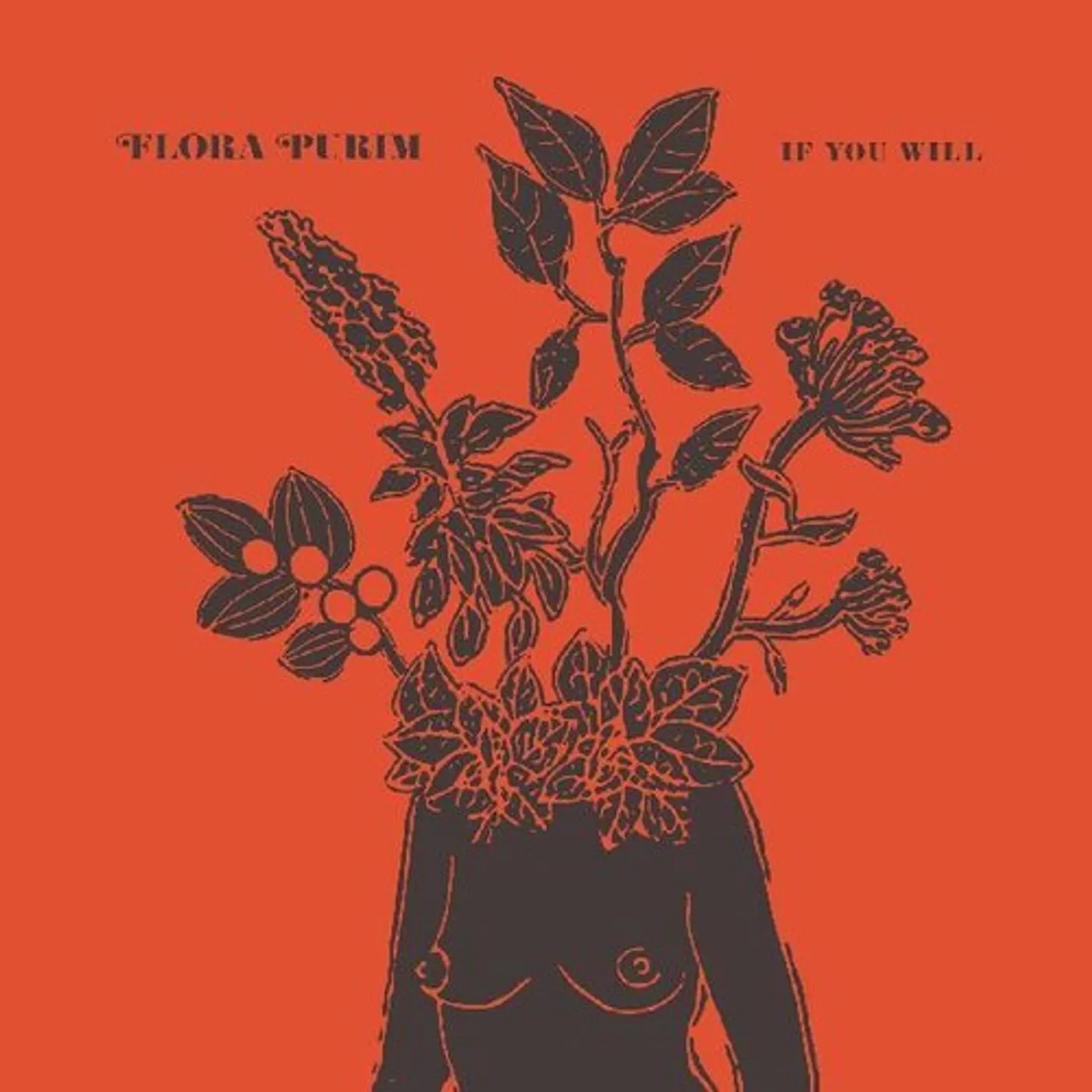 FLORA PURIM - Flora é m.p.m. NC5naWY.jpeg