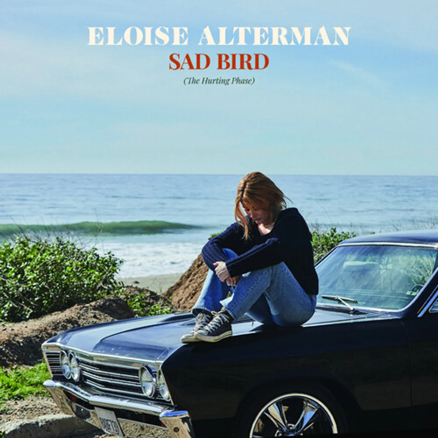Eloise Alterman SAD BIRD CD