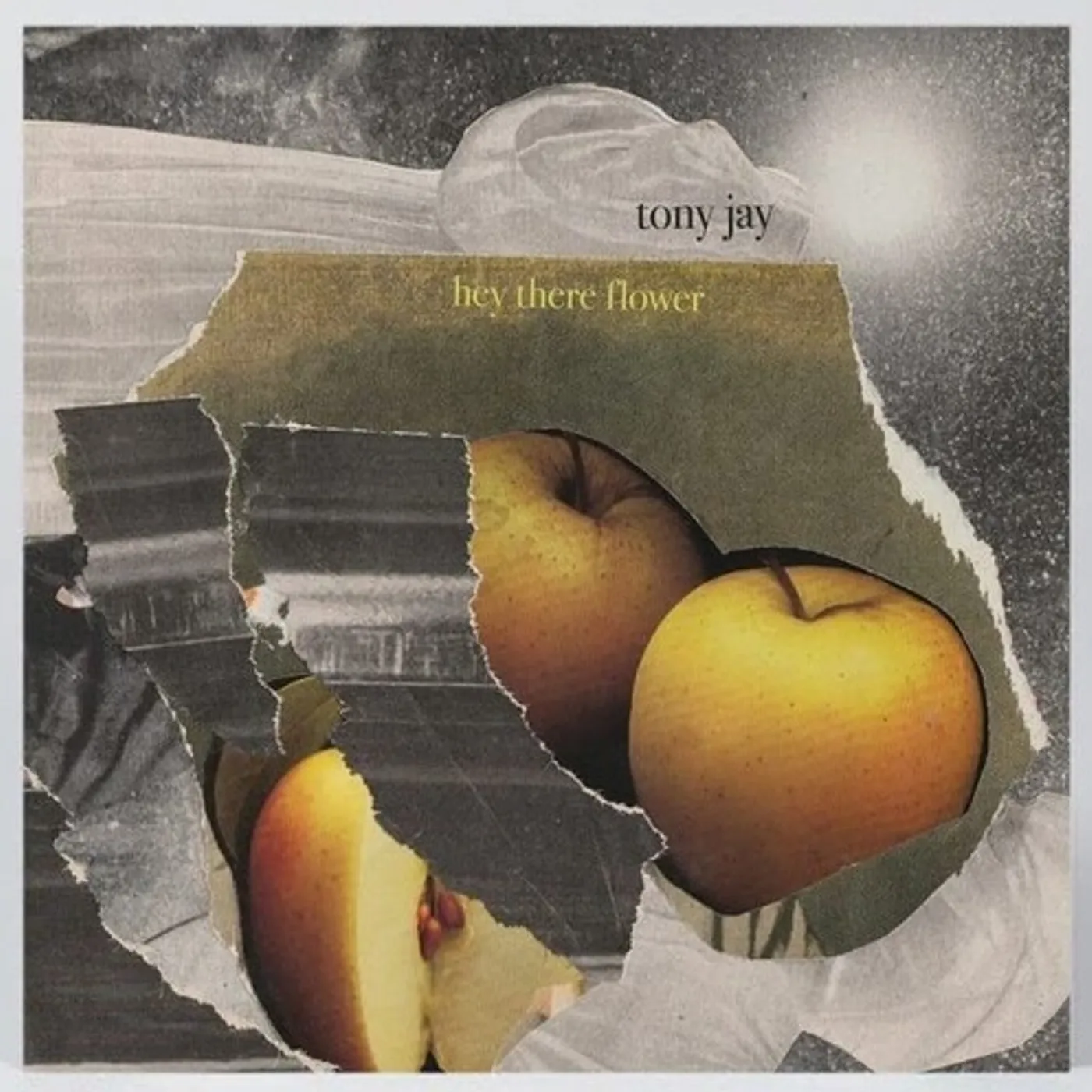 Tony Jay Hey There Flower Vinyl Record