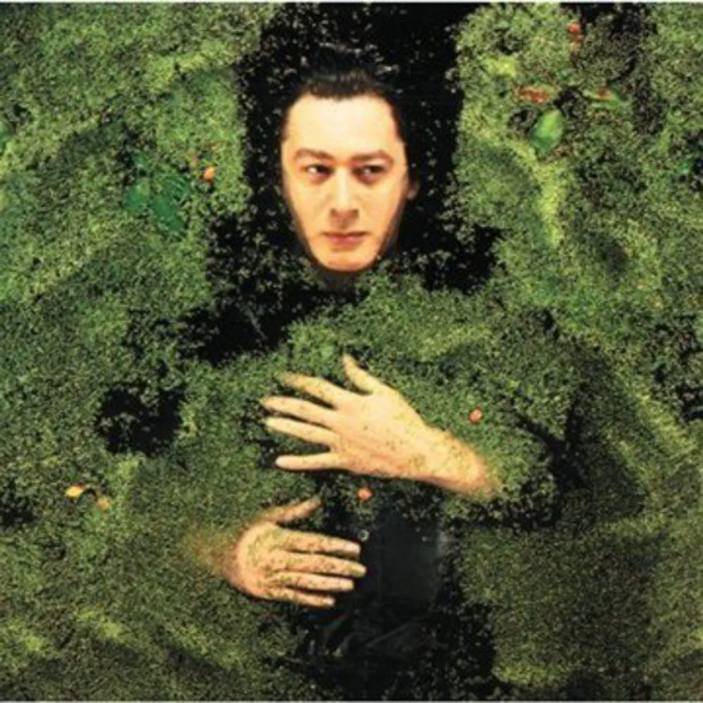 Alain Bashung Fantaisie Militaire Vinyl Record