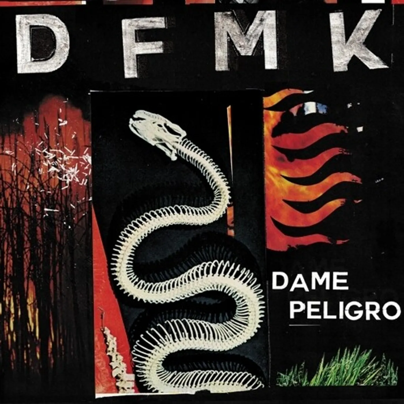 DFMK Dame Peligro Vinyl Record