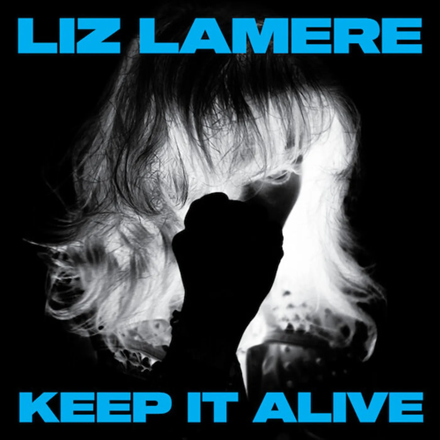 Liz Lamere KEEP IT ALIVE CD
