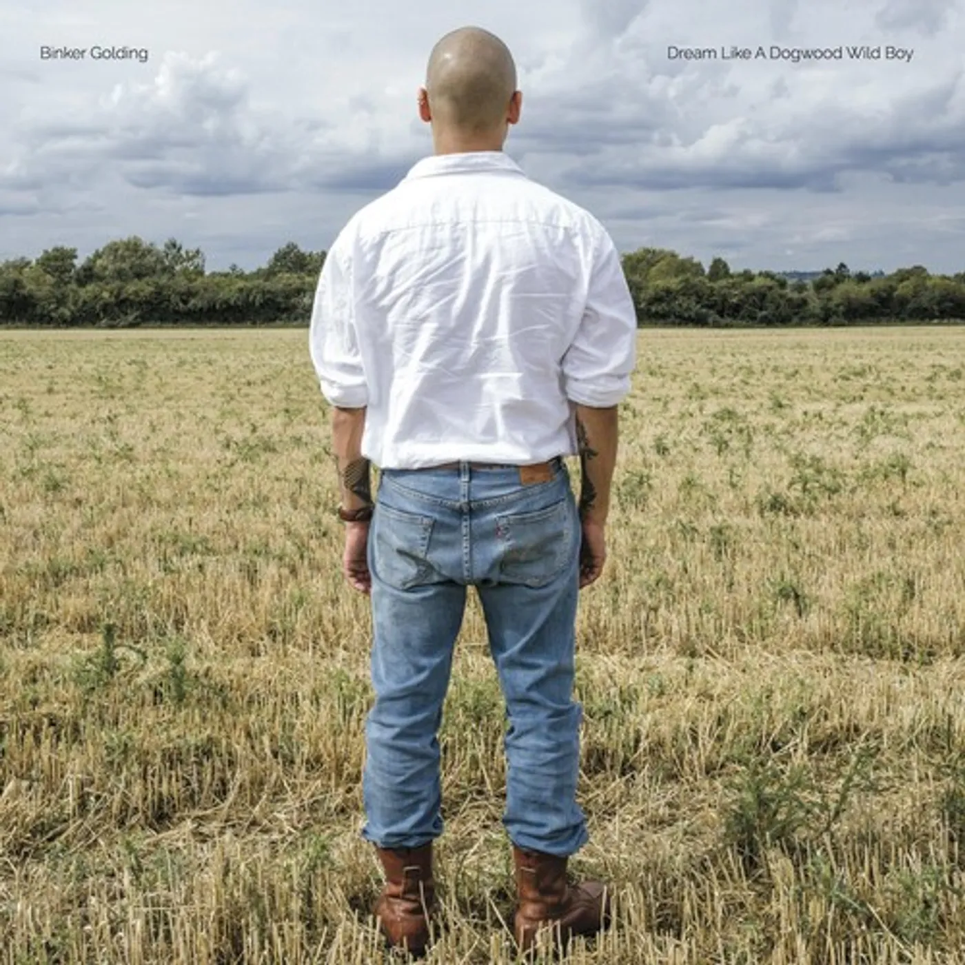 Binker Golding DREAM LIKE A DOGWOOD WILD BOY CD