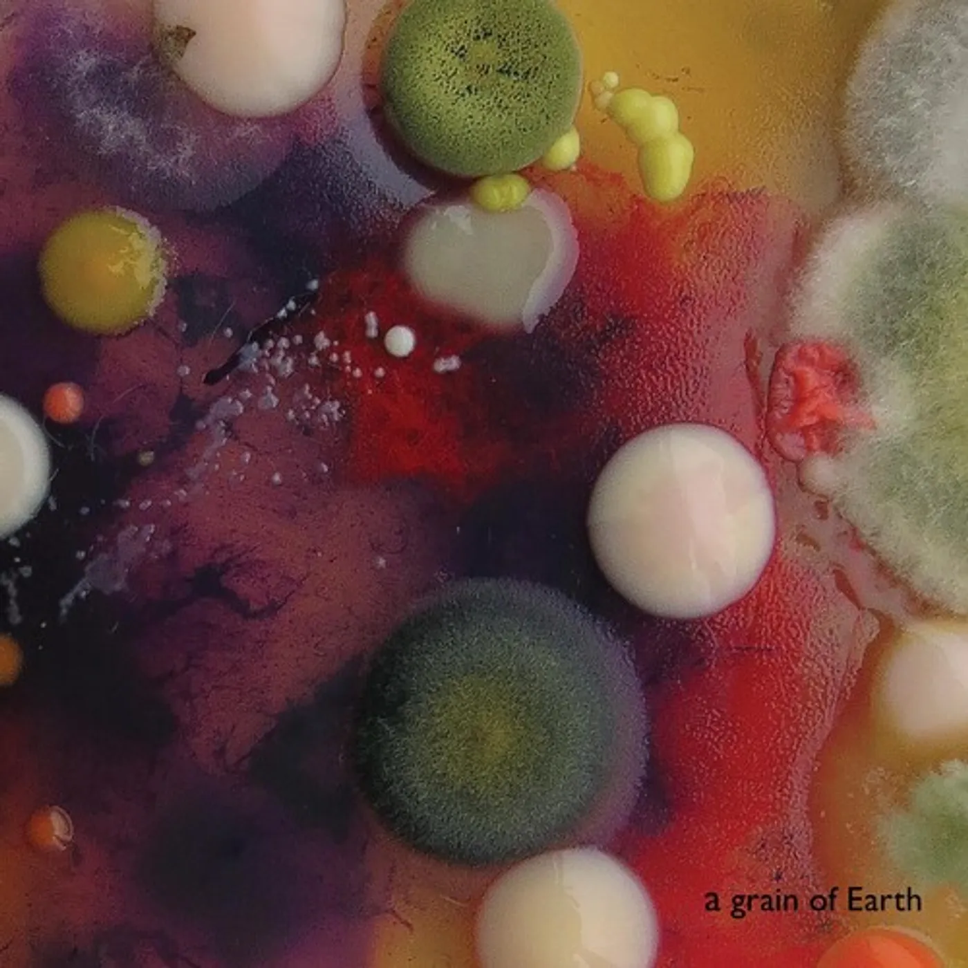 Marta Warelis GRAIN OF EARTH CD