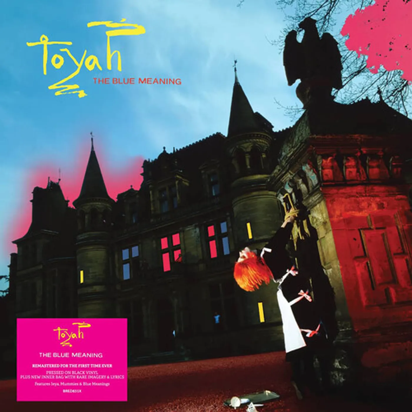 Toyah BLUE MEANING Vinyl Record