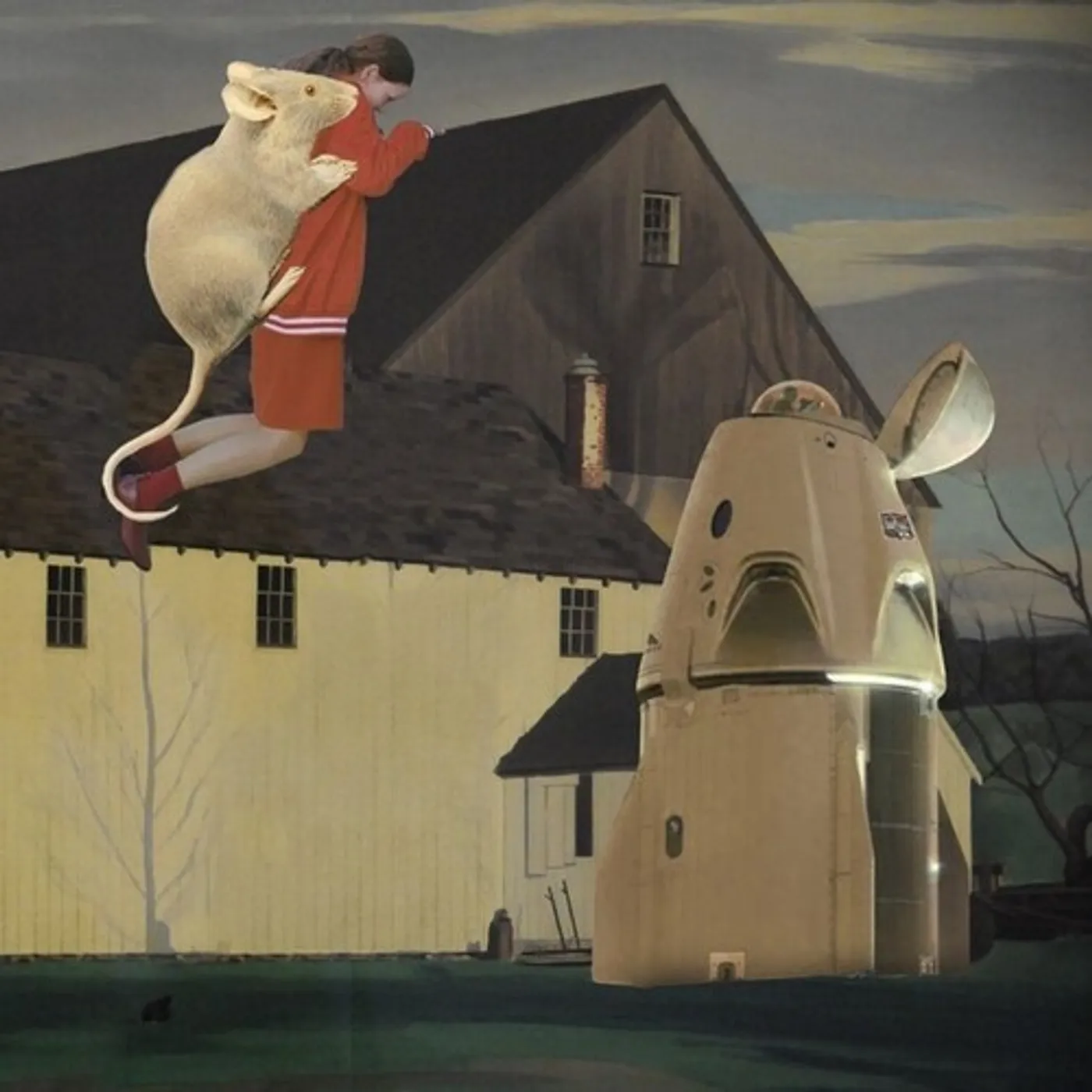 Denis Kaznacheev Dream Farm Vinyl Record