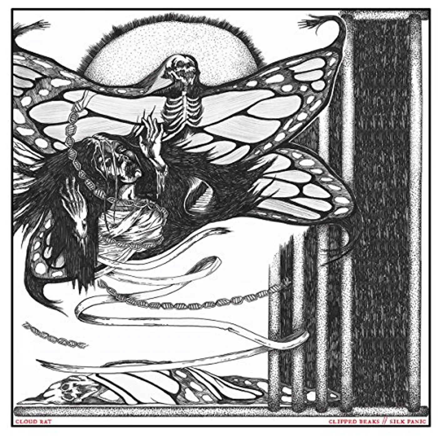 Cloud Rat CLIPPED BEAKS / SILK PANIC CD