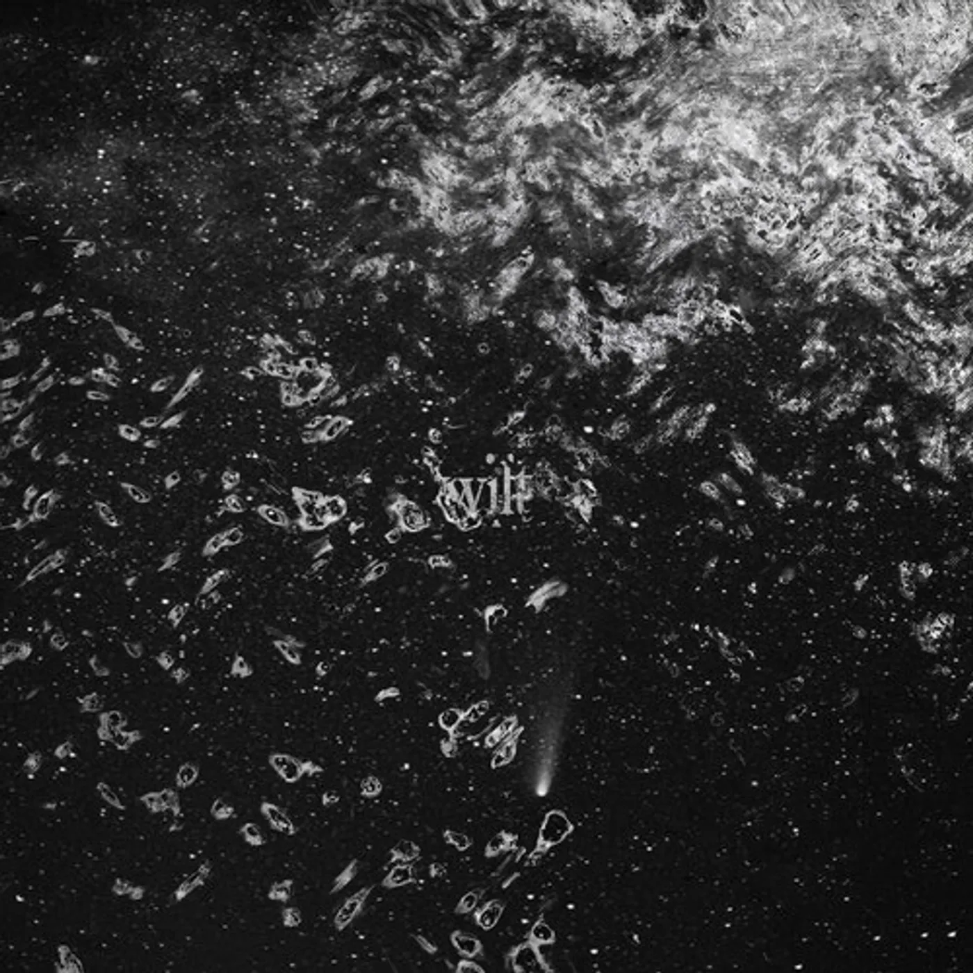 WILT CD