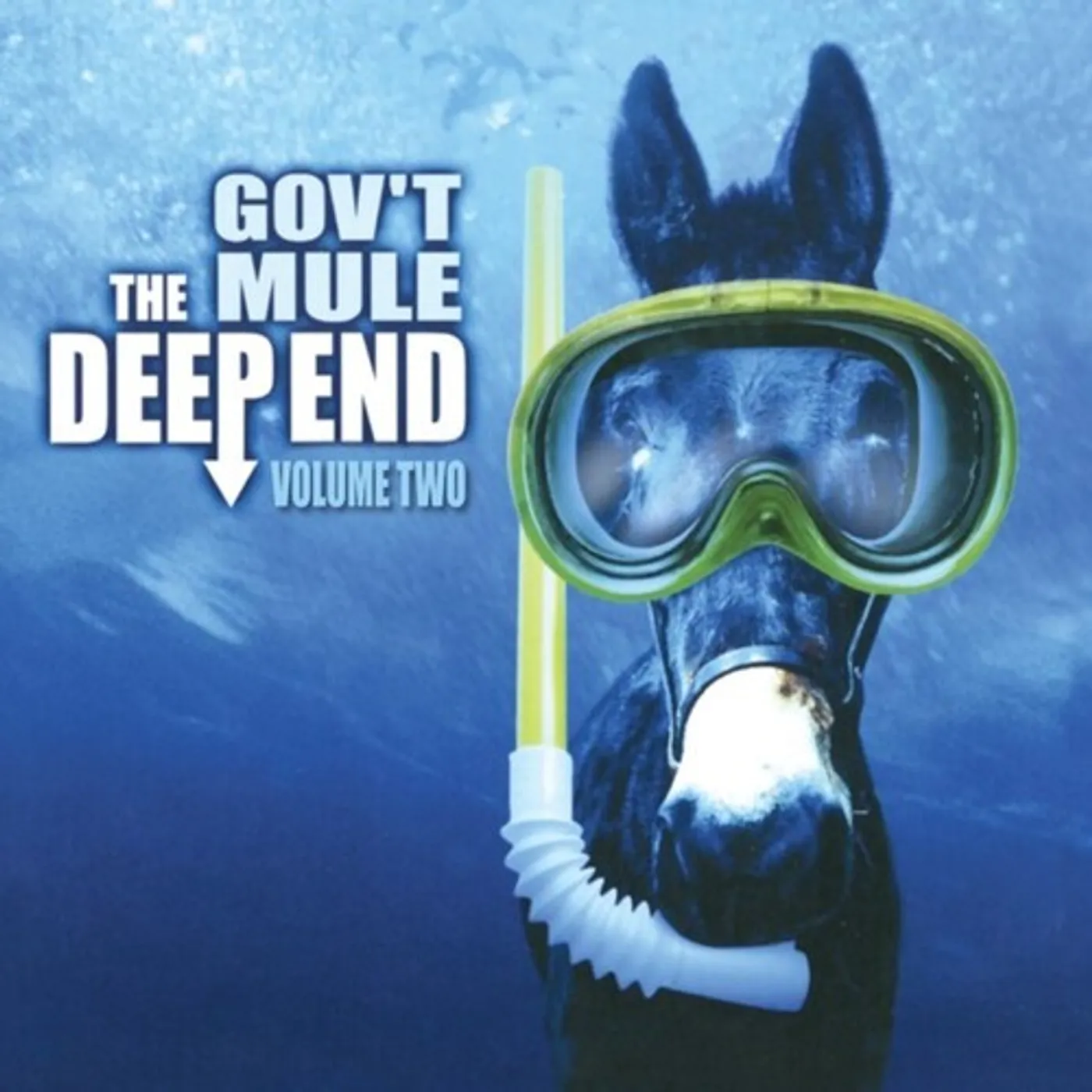 Gov't Mule DEEP END VOL 2 Vinyl Record