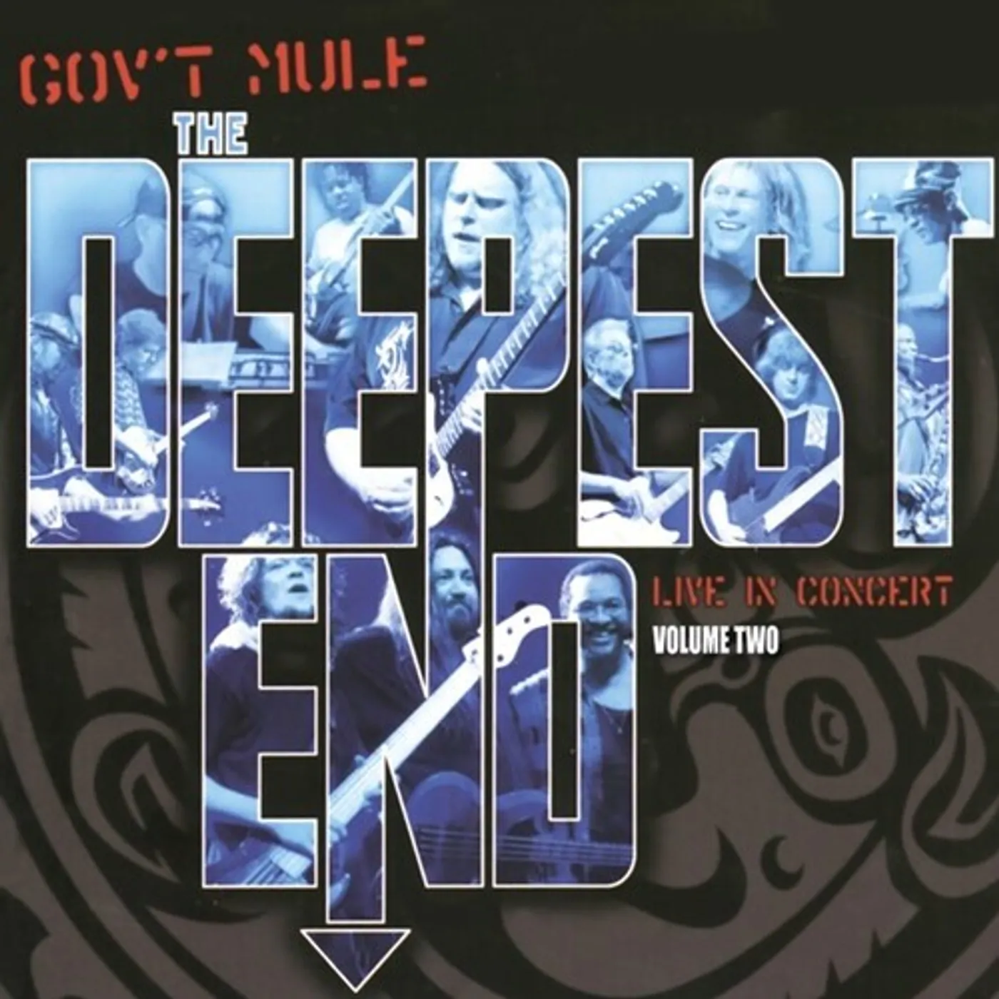 Gov't Mule Deepest End Vol 2 Vinyl Record