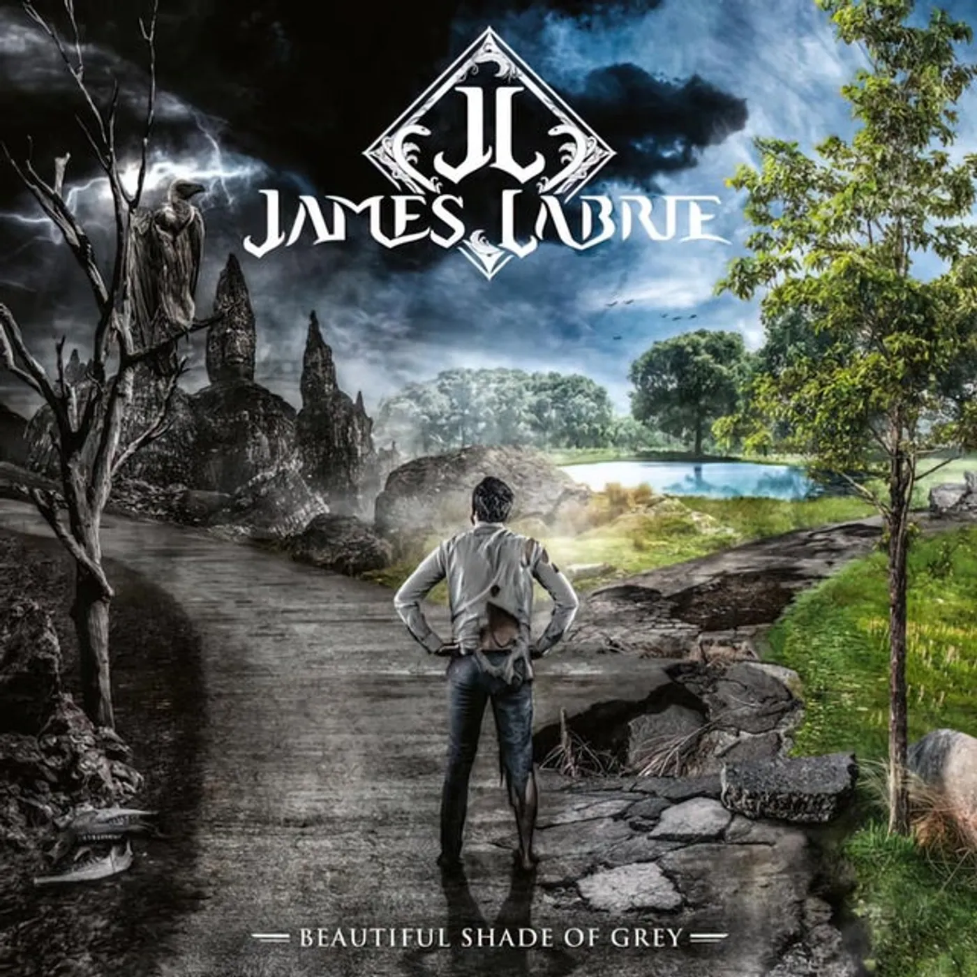 James Labrie Beautiful Shade Of Grey Vinyl Record