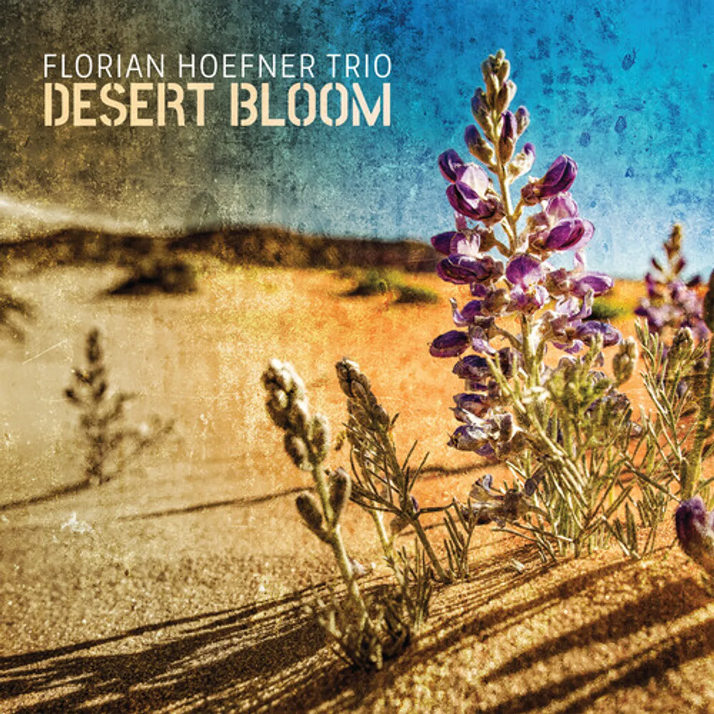 Florian Hoefner DESERT BLOOM CD