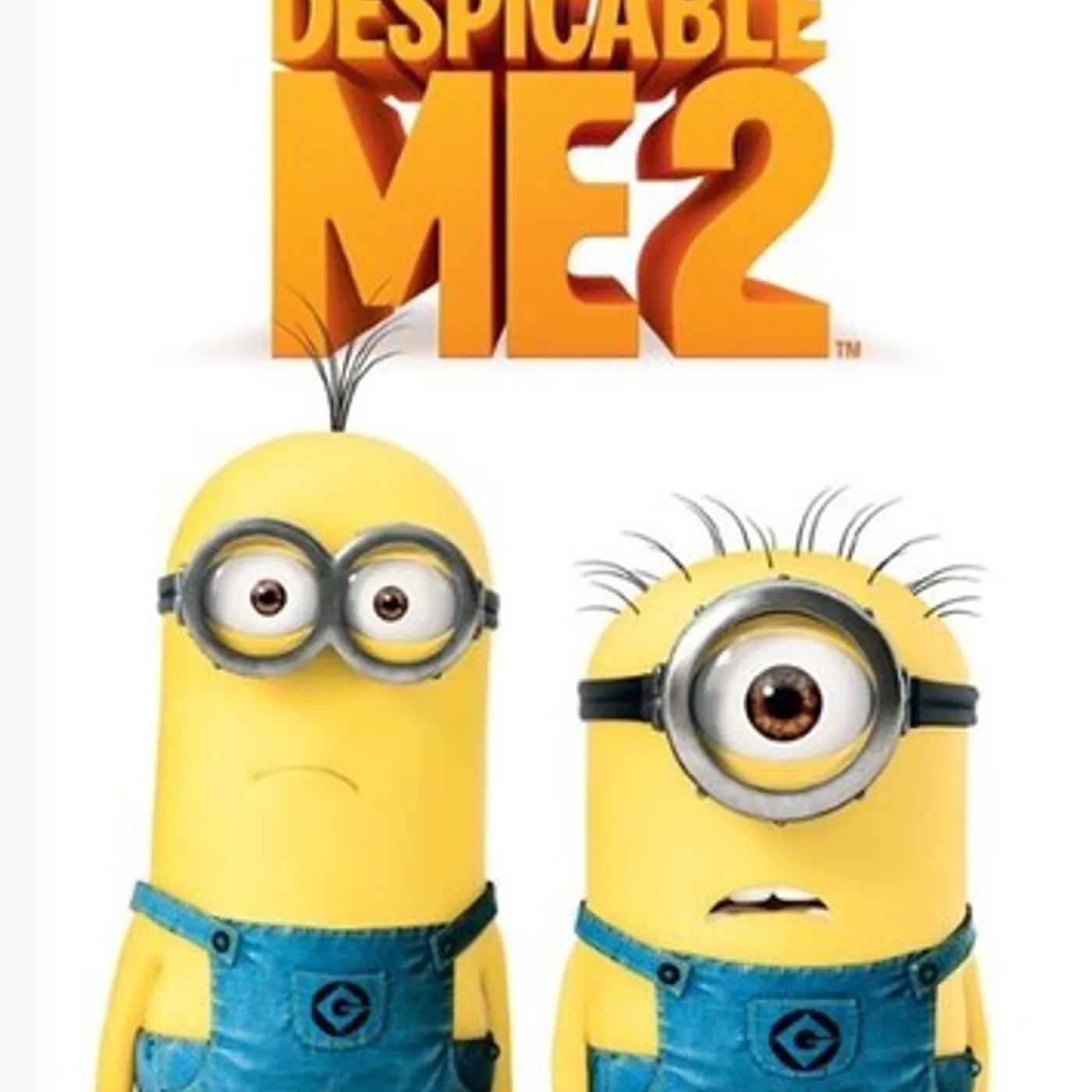 DESPICABLE ME 2 DVD