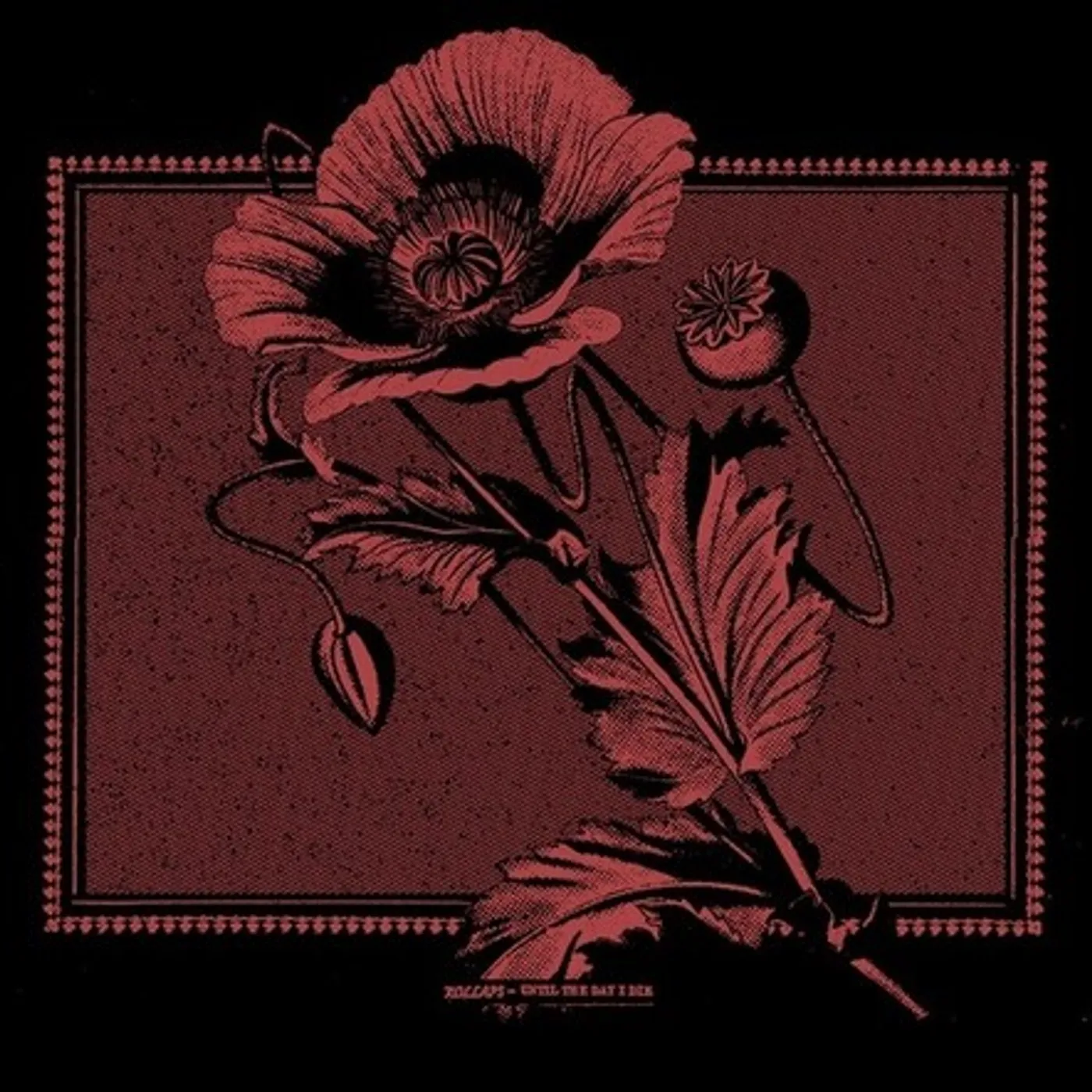 Kollaps UNTIL THE DAY I DIE CD