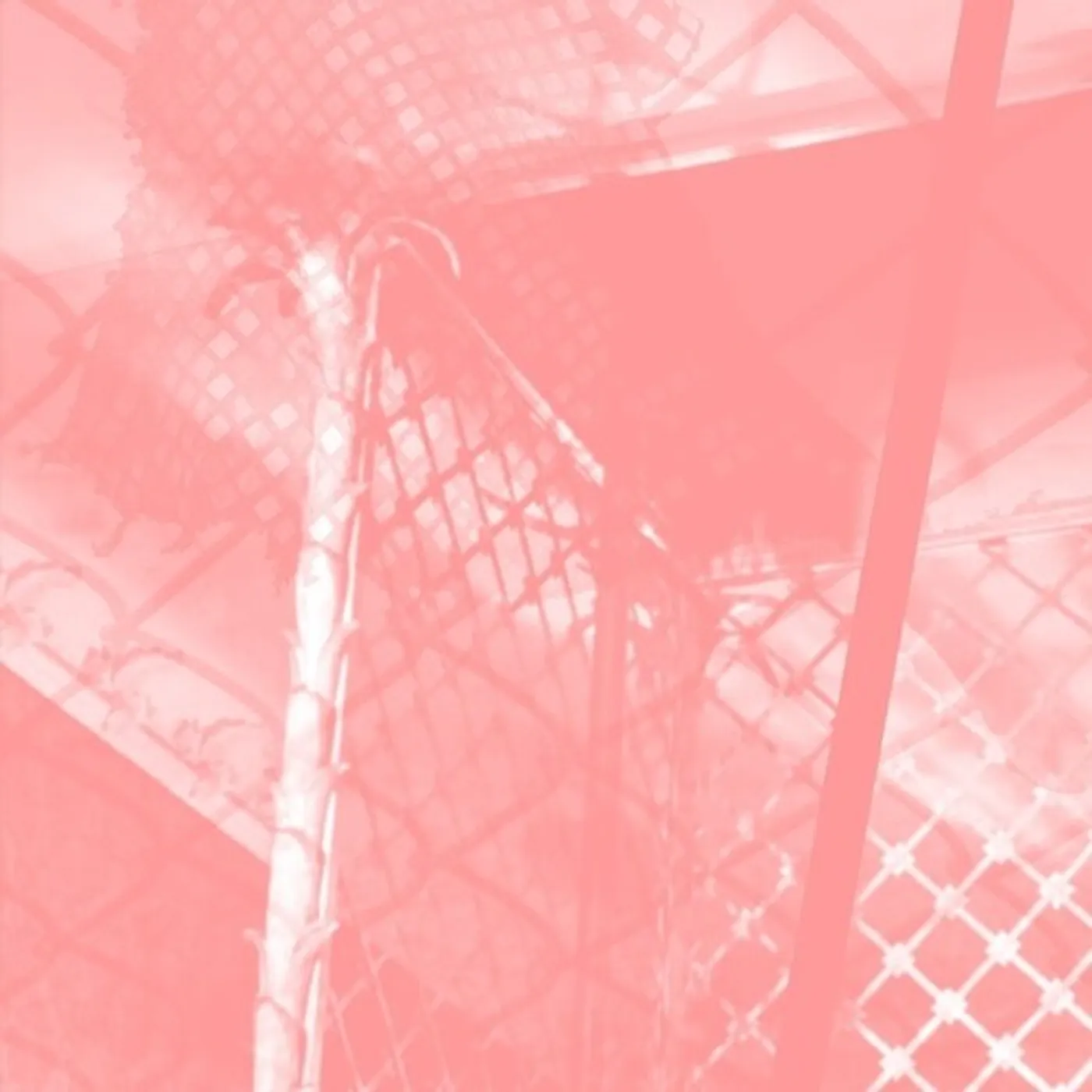 Pinkcourtesyphone ALL INTENSIVE PURPOSES CD