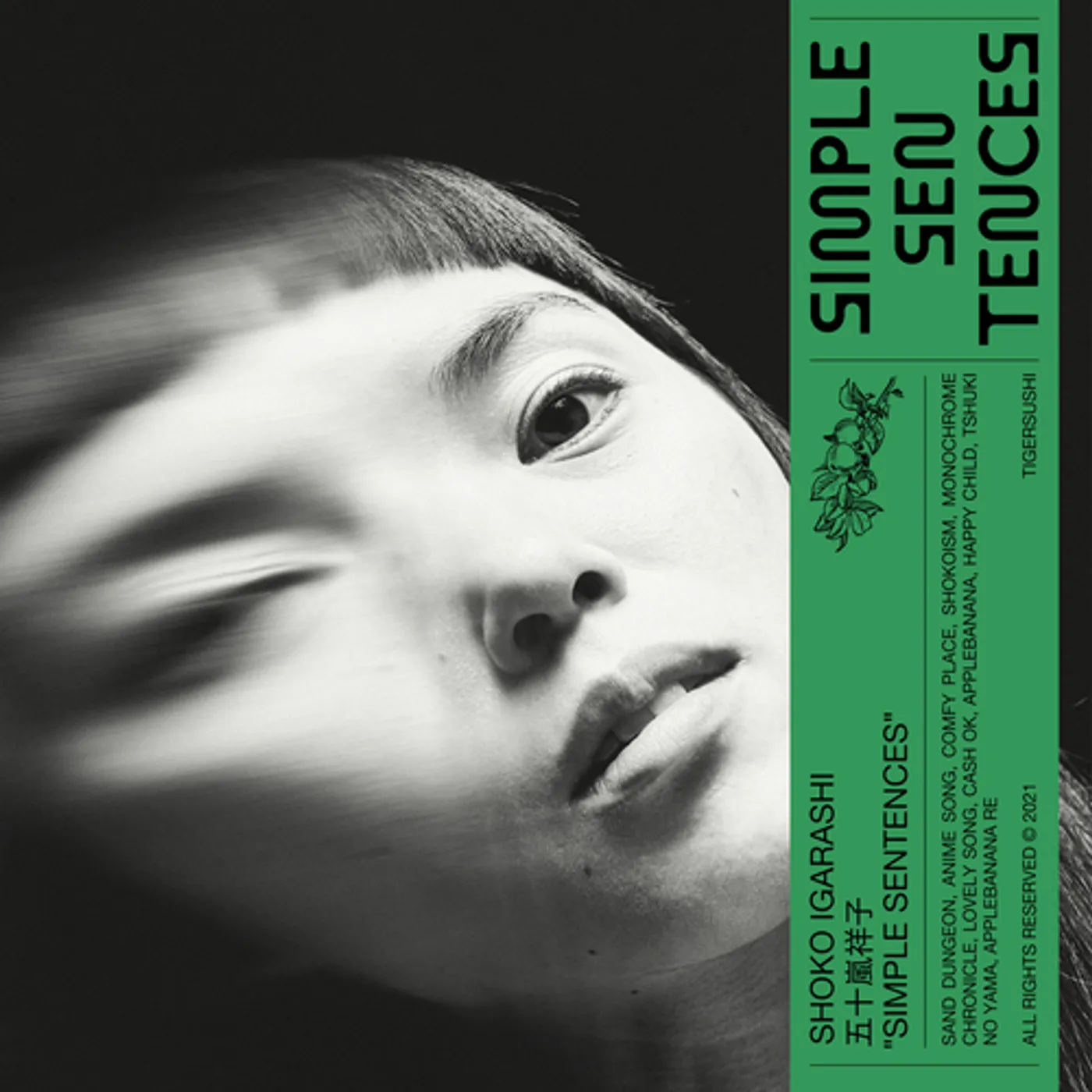 Shoko Igarashi Simple Sentences Vinyl Record