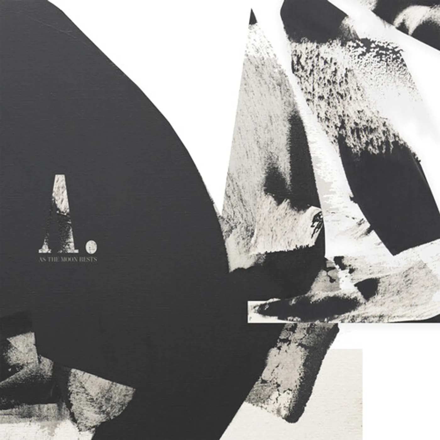 A Williams As The Moon Rests Vinyl Record