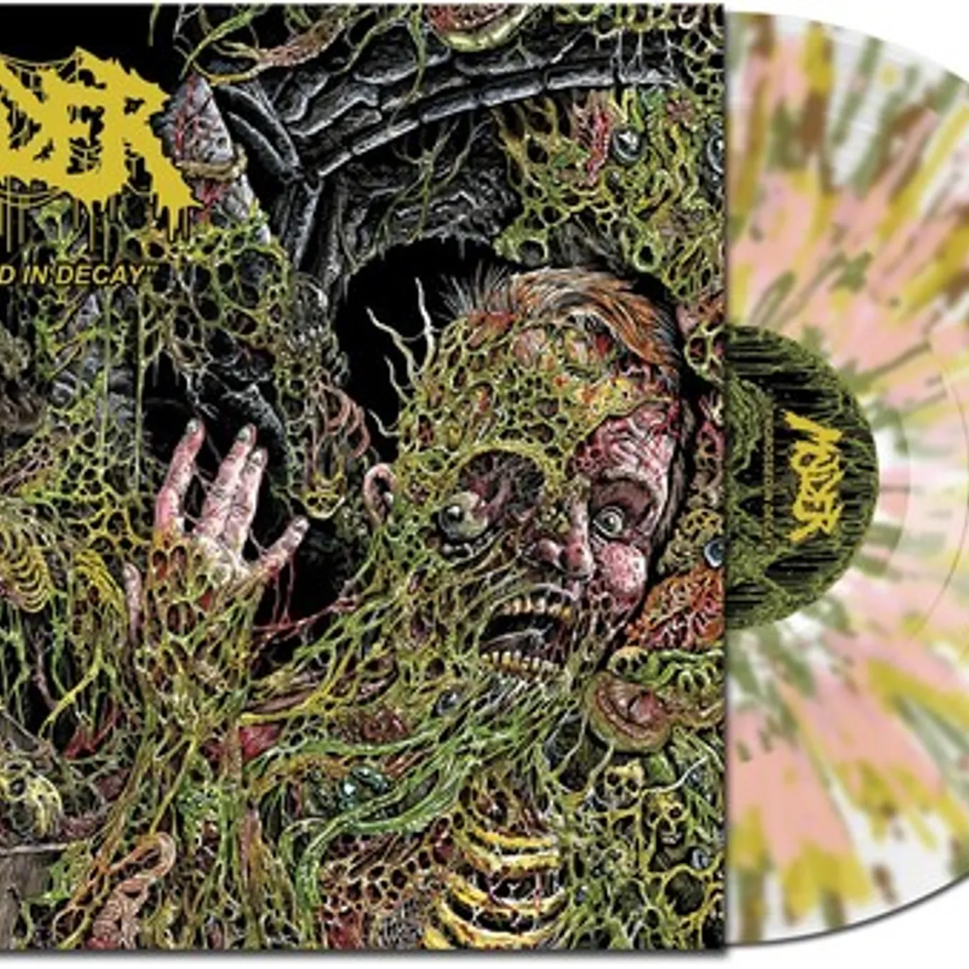Molder Engrossed In Decay Vinyl Record