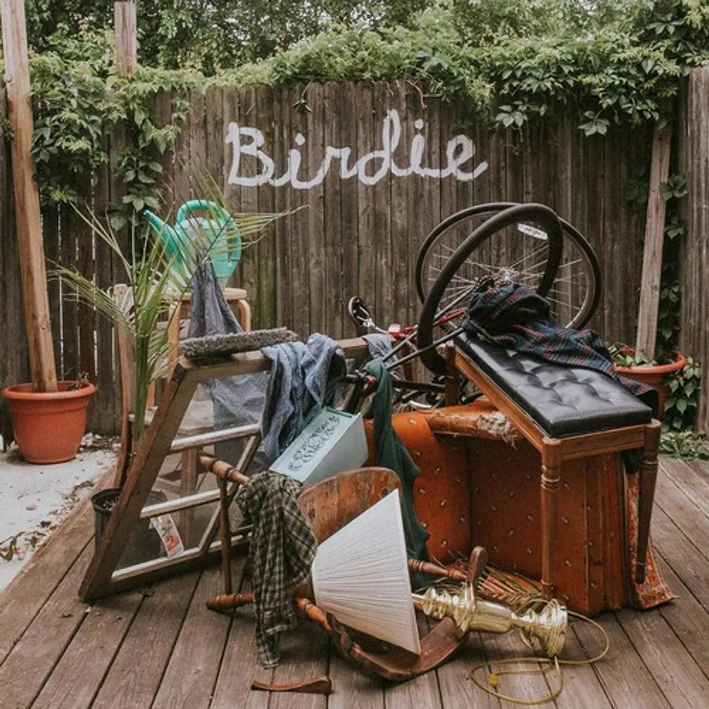 Slaughter Beach, Dog Birdie (Olive Green Colored Vinyl)