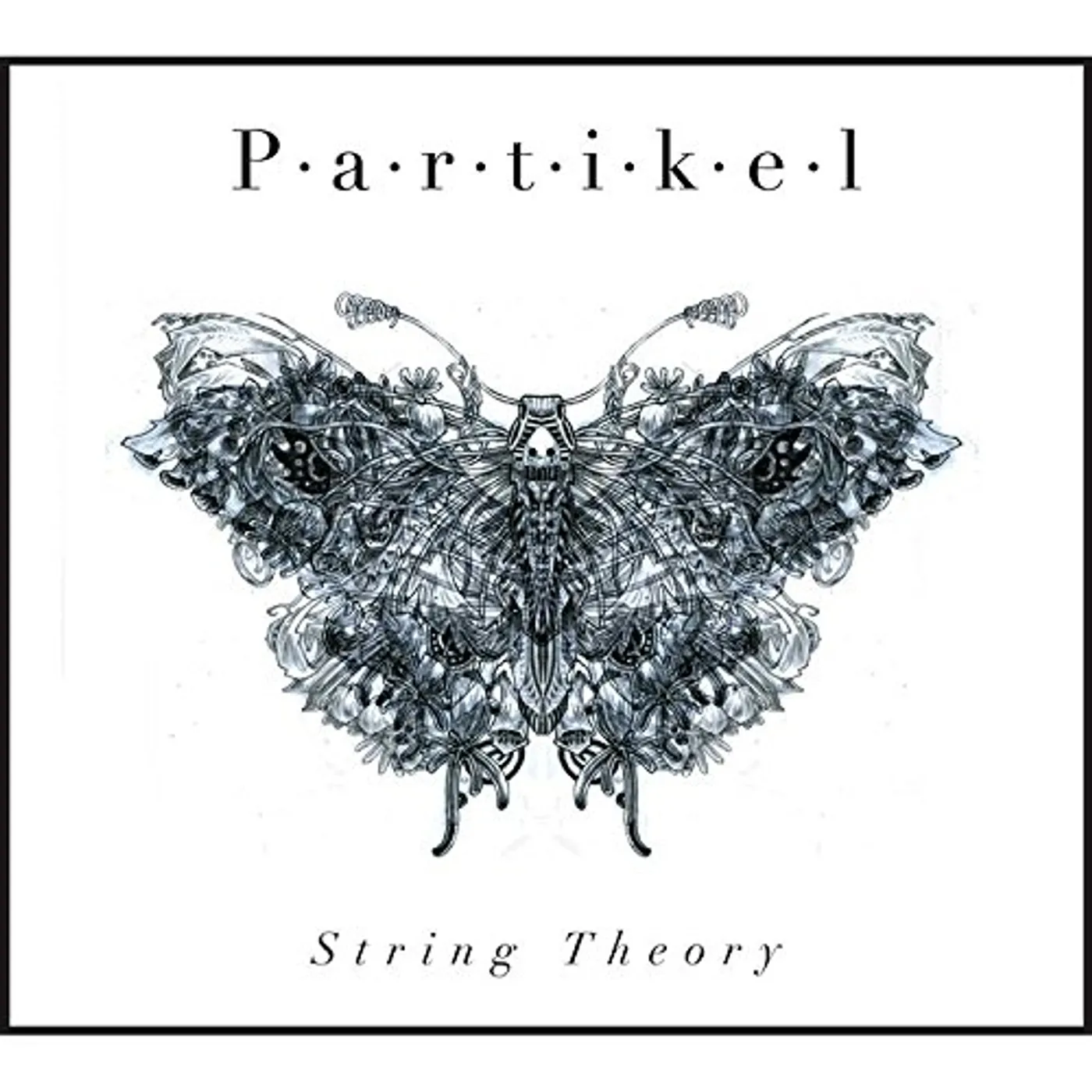 Partikel STRING THEORY CD