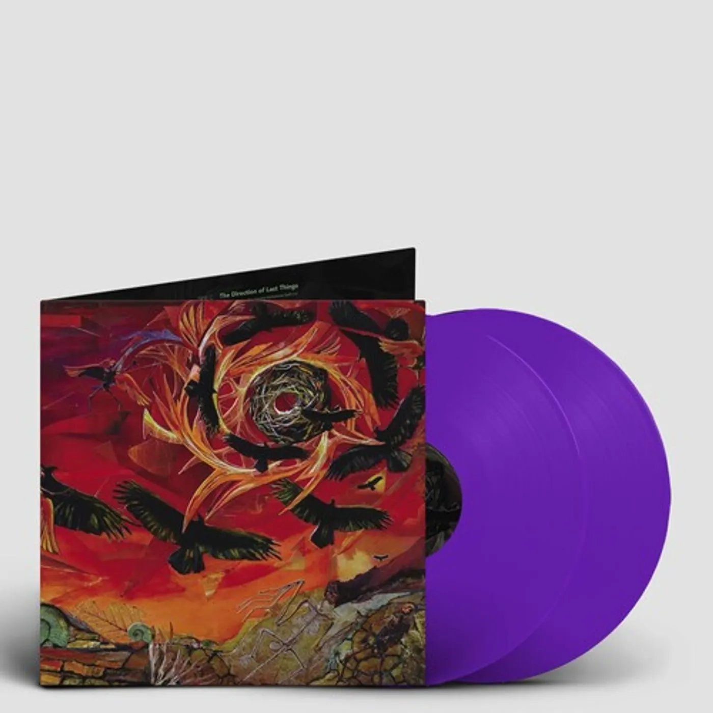 Intronaut DIRECTION OF LAST THINGS Vinyl Record